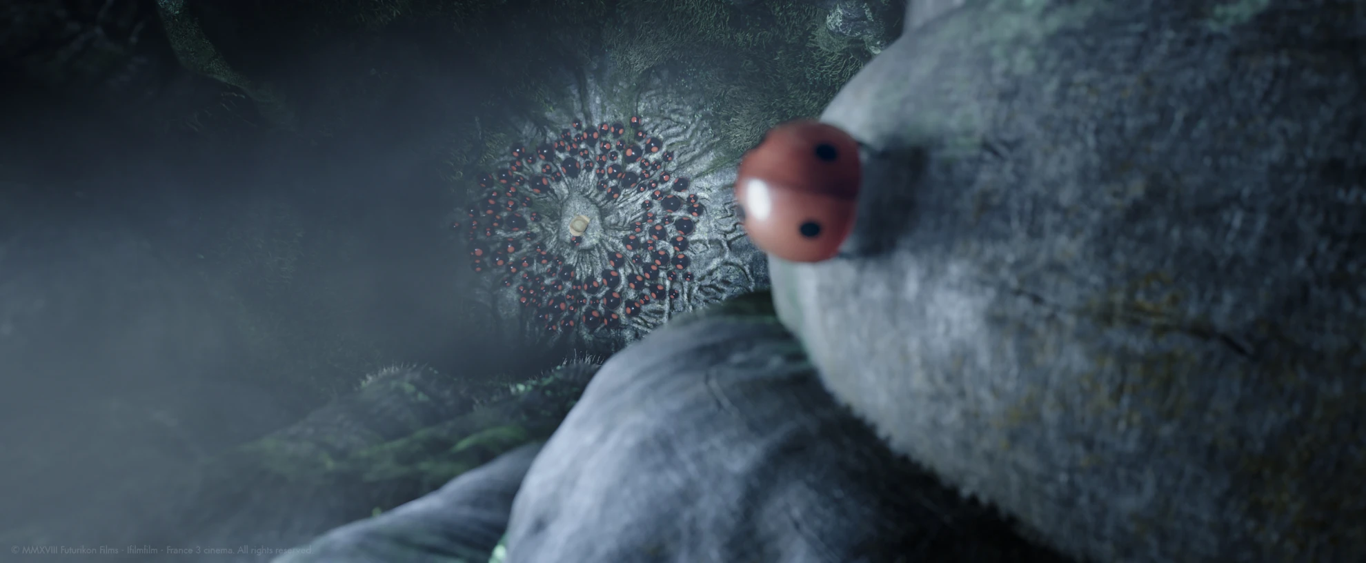 Minuscule – Abenteuer in der Karibik hero banner image placeholder