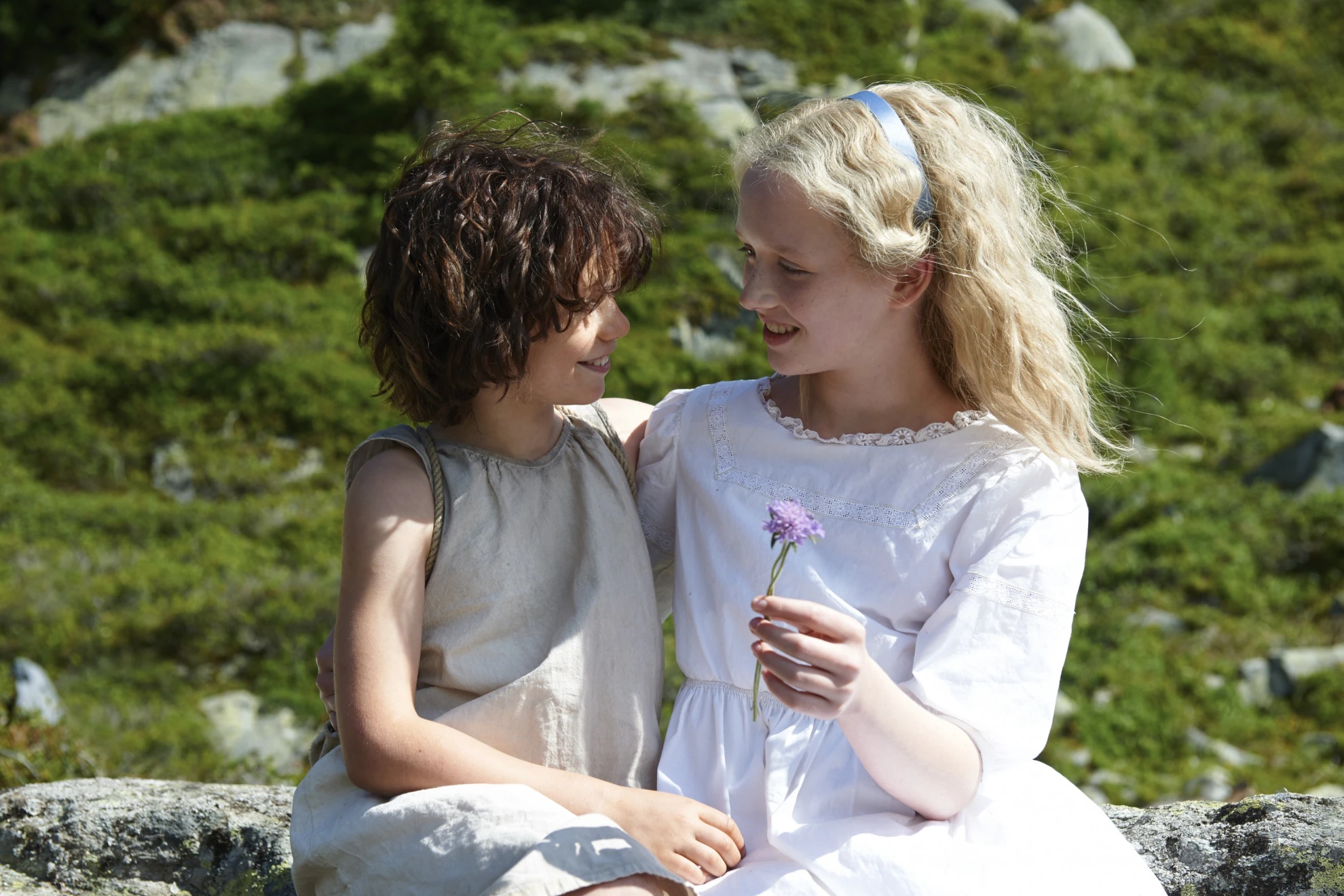 Heidi (2015) hero banner image placeholder