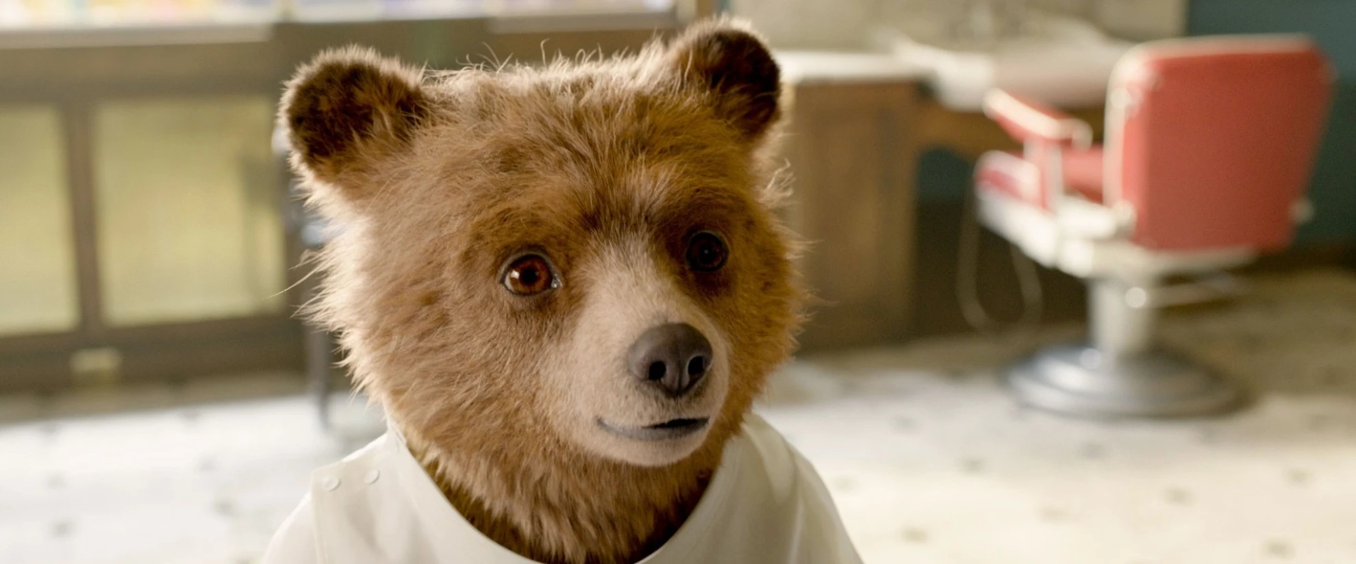 Paddington 2 hero banner image
