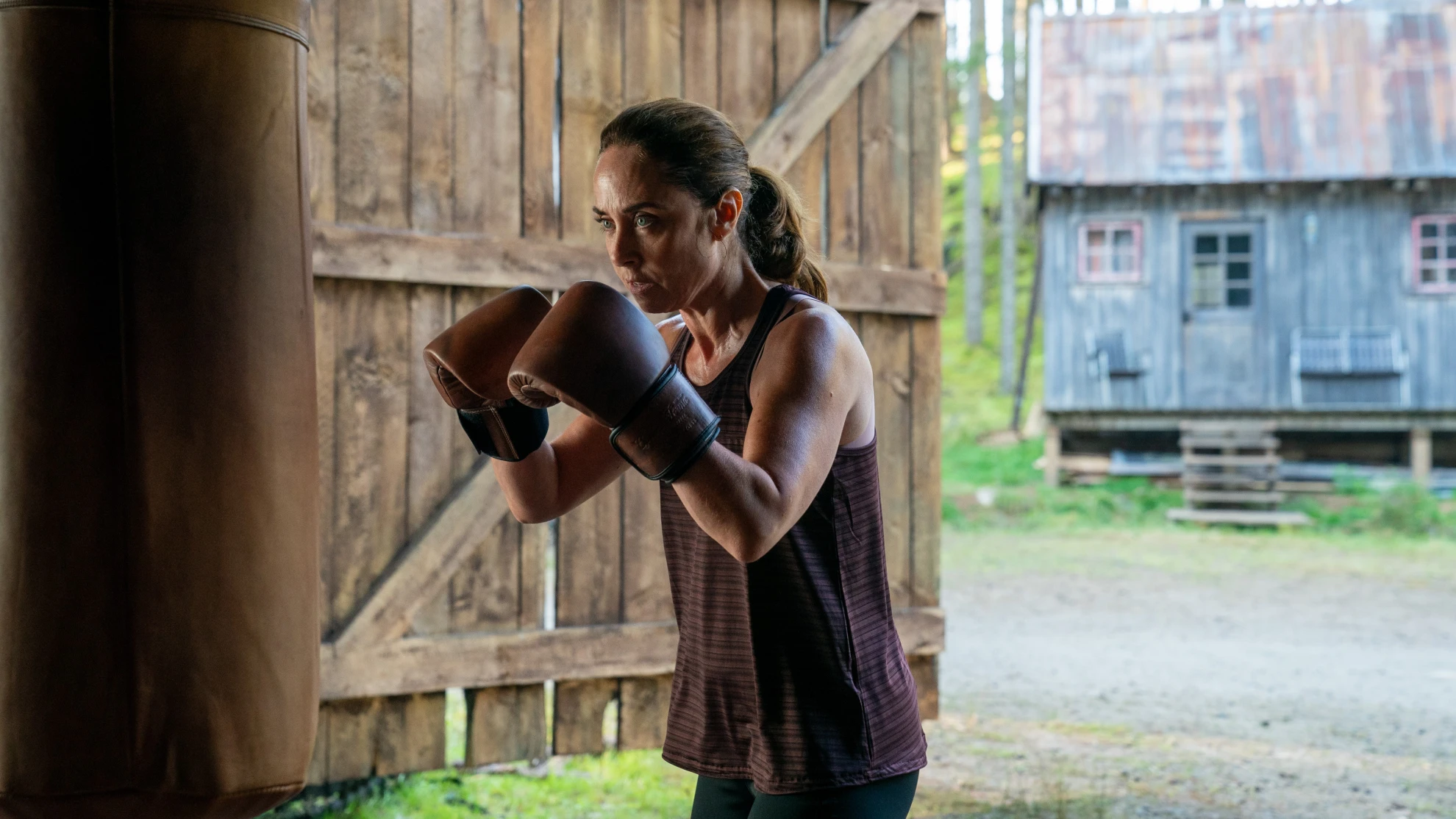 The Last Viking hero banner image placeholder