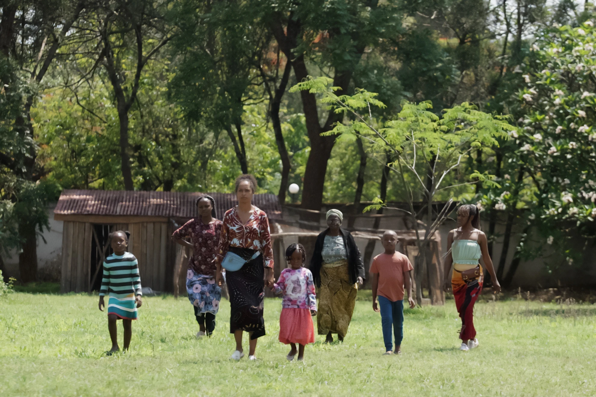 On Becoming a Guinea Fowl hero banner image placeholder