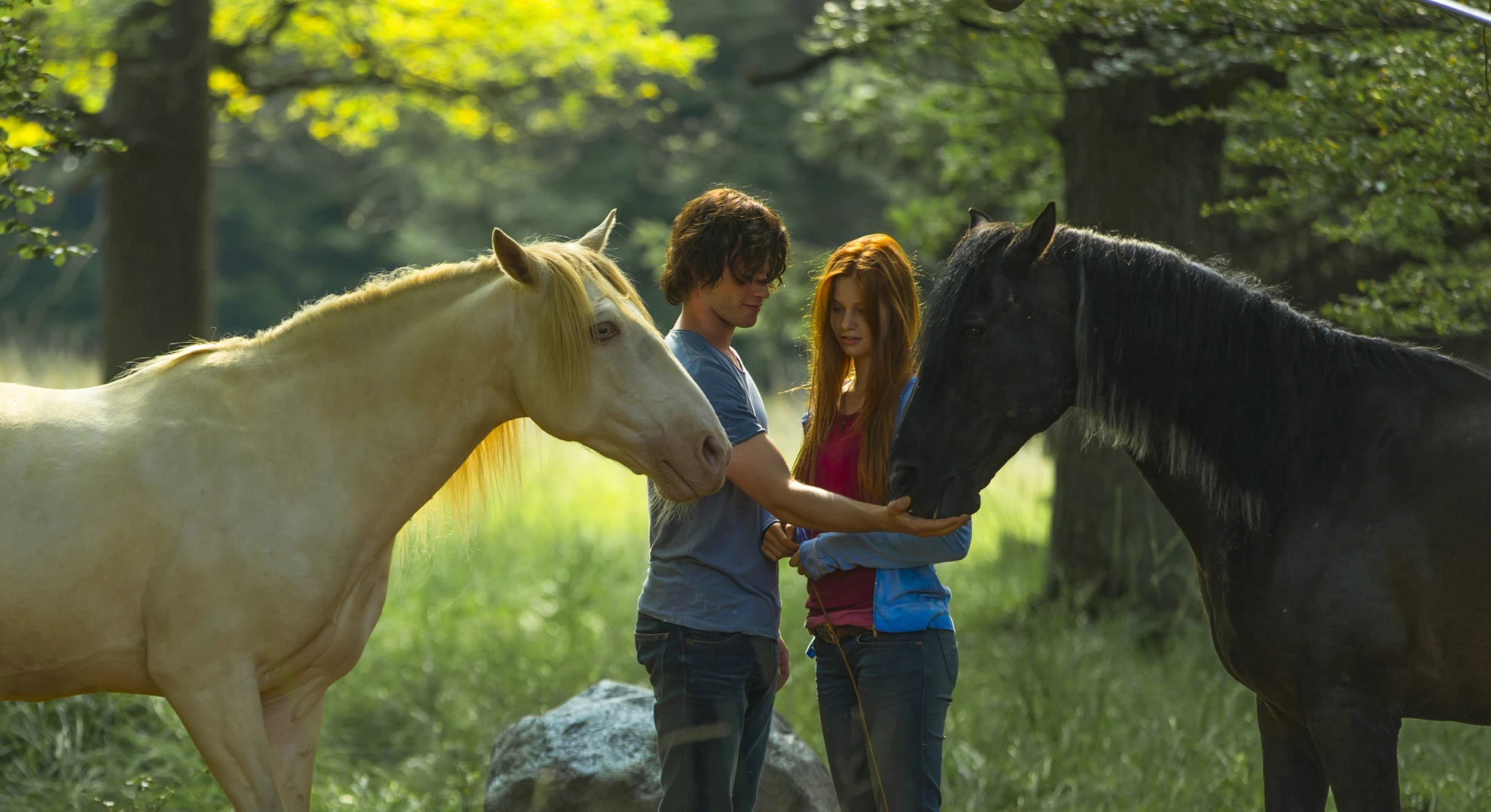 Ostwind 2 hero banner image placeholder