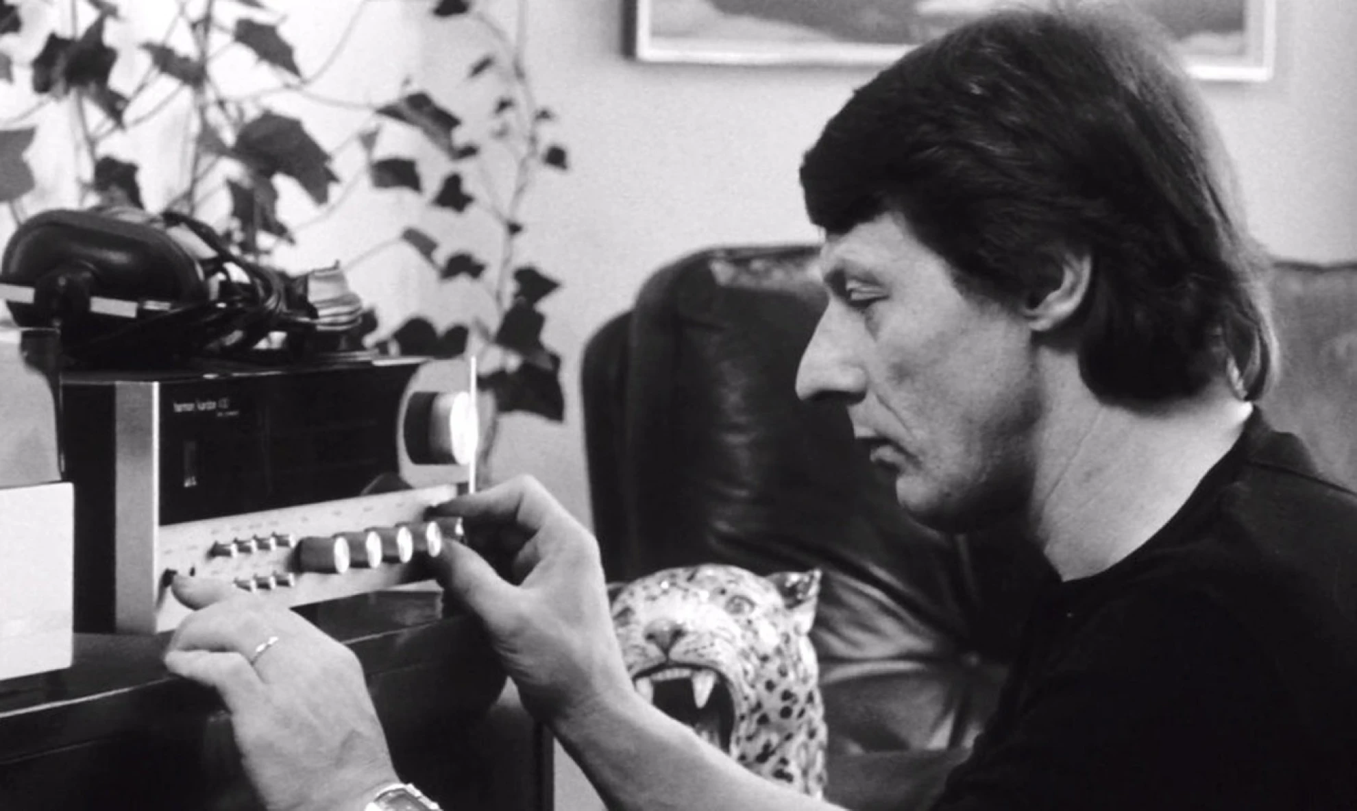 Grauzone hero banner image placeholder