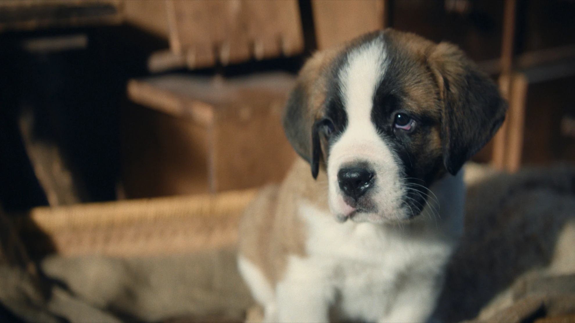 Mein Freund Barry hero banner image placeholder