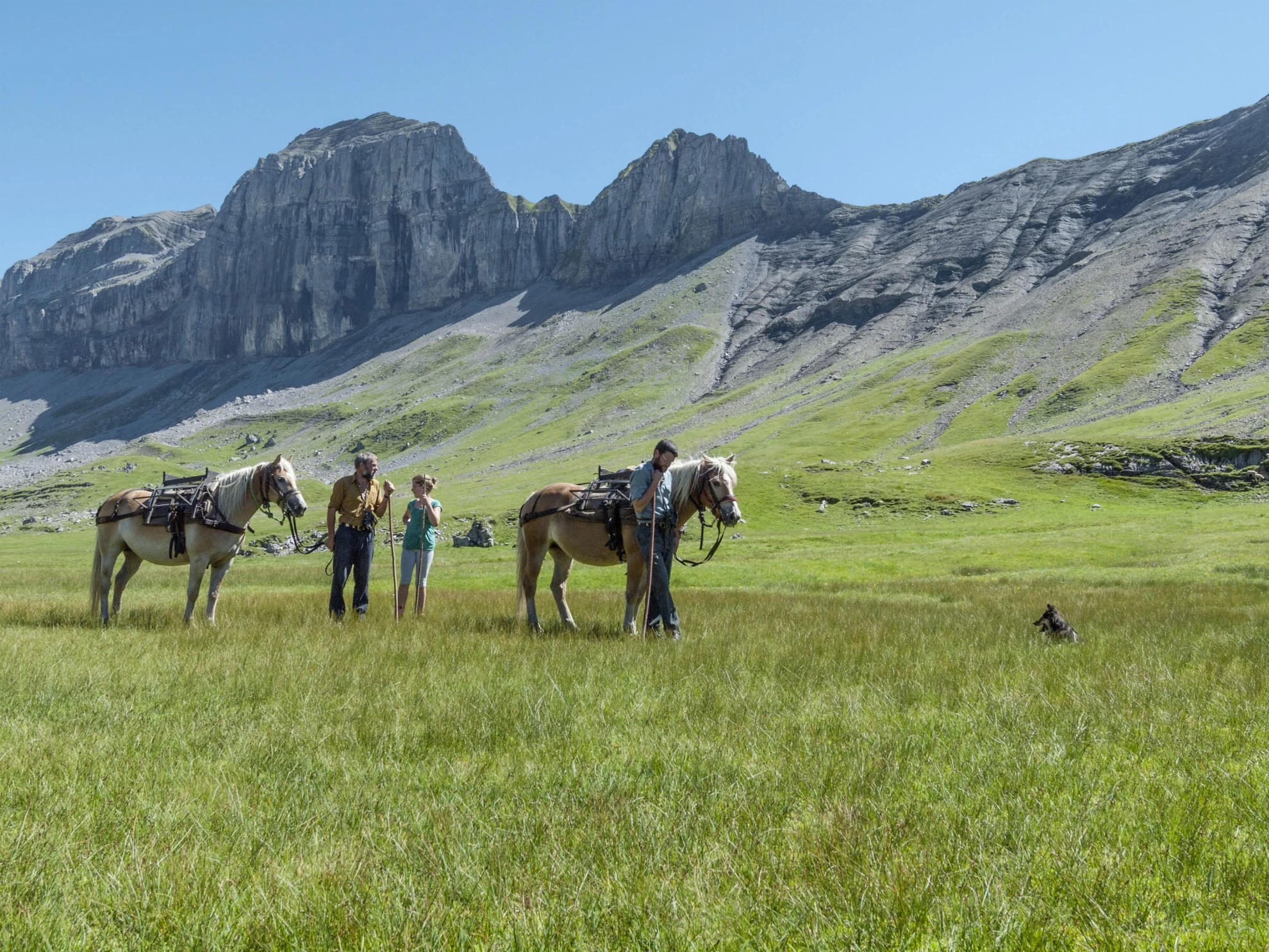 Alpsummer hero banner image placeholder