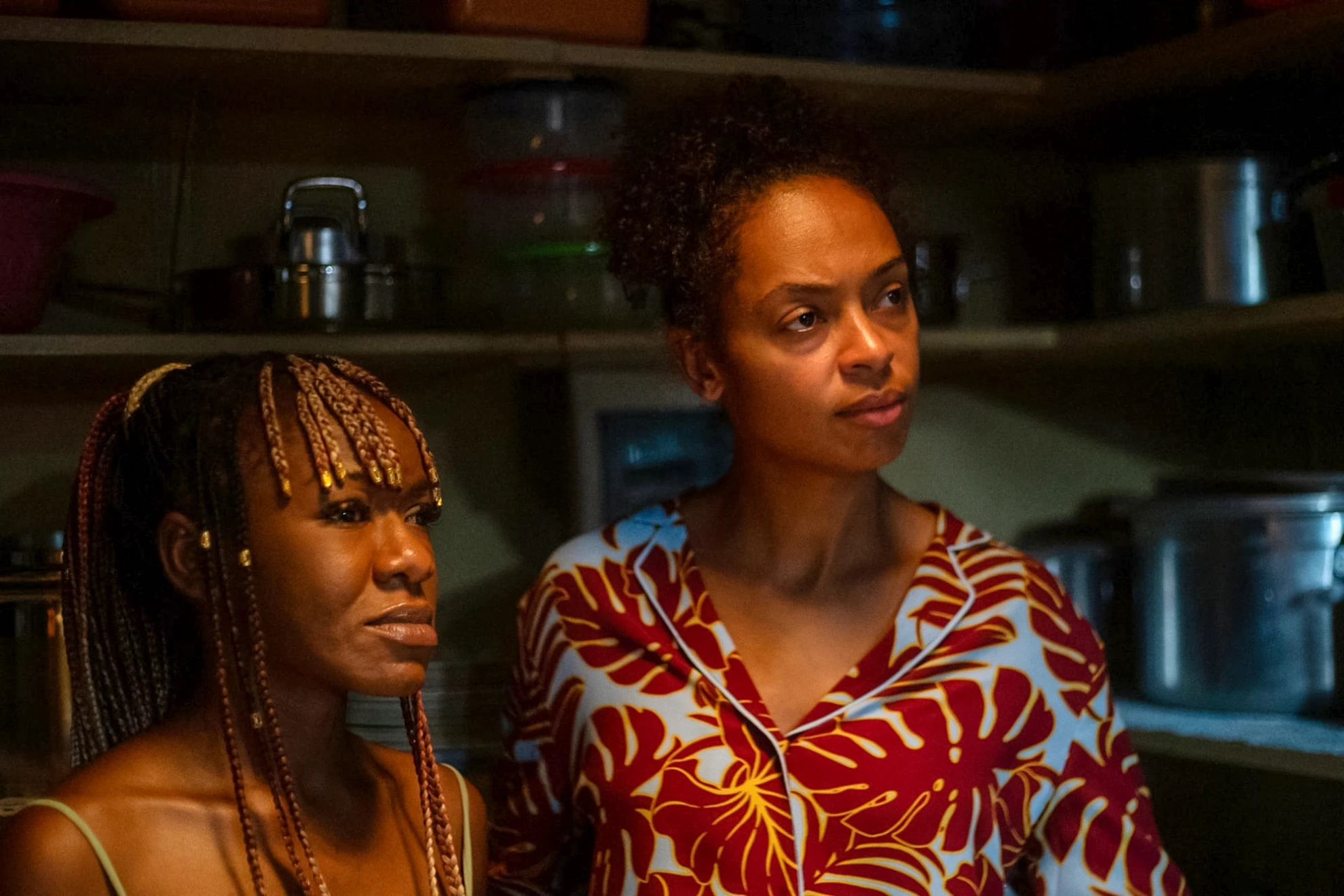 On Becoming a Guinea Fowl hero banner image placeholder