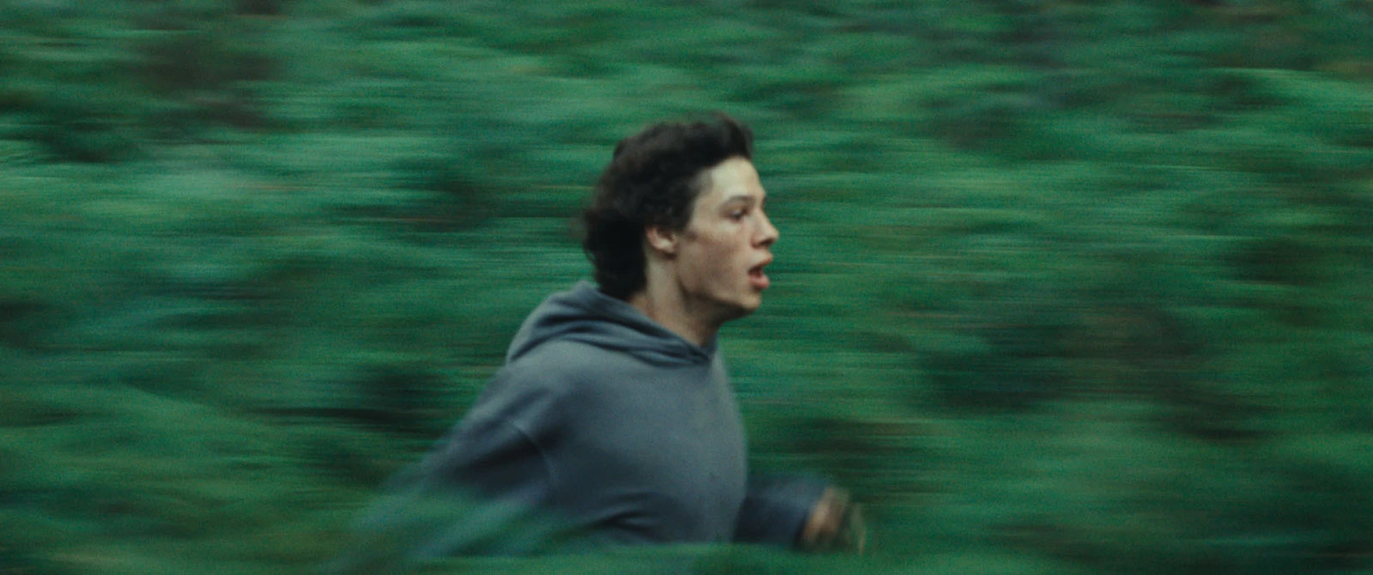 Animal Kingdom hero banner image placeholder