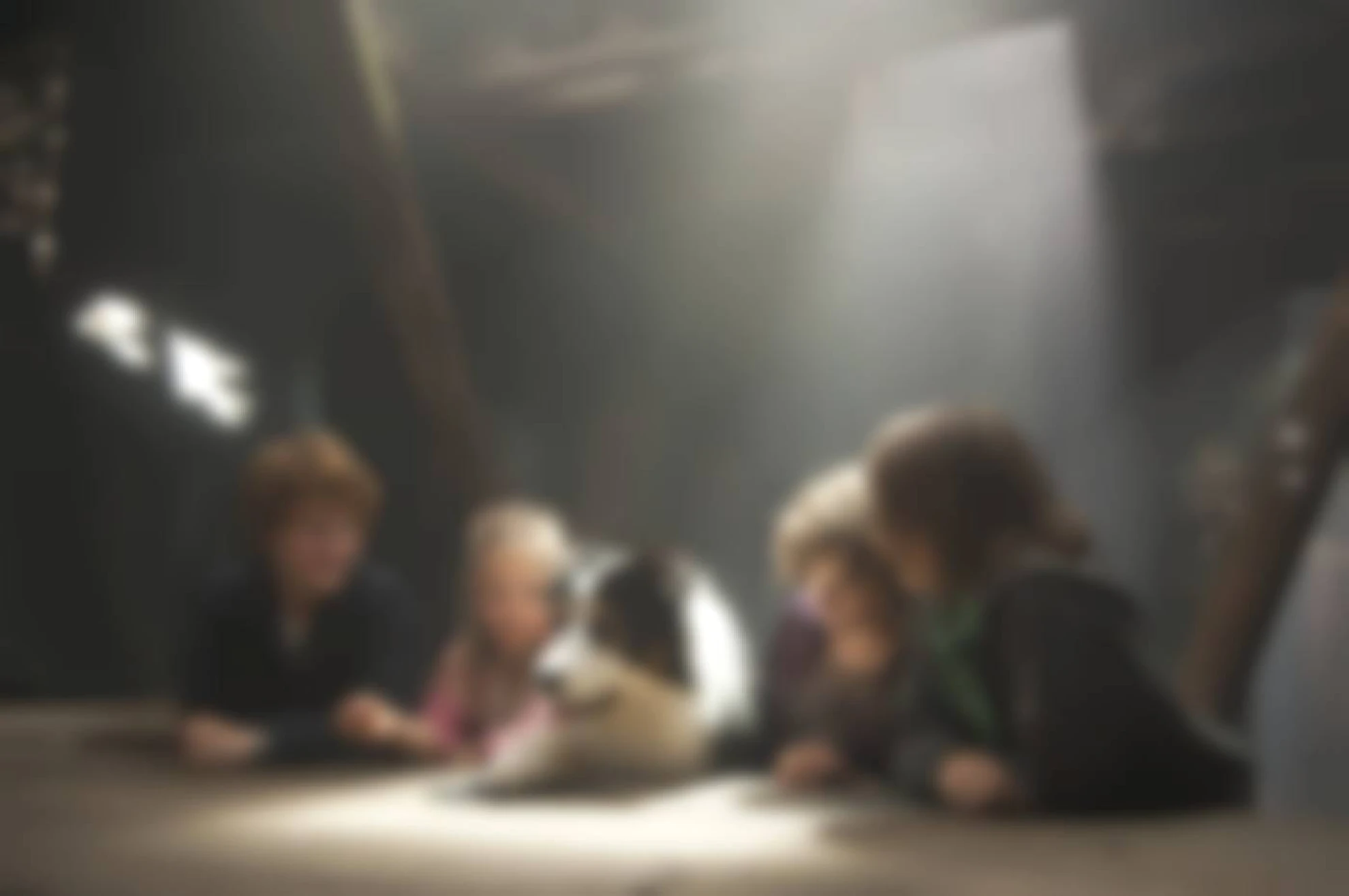 Fünf Freunde hero banner image placeholder