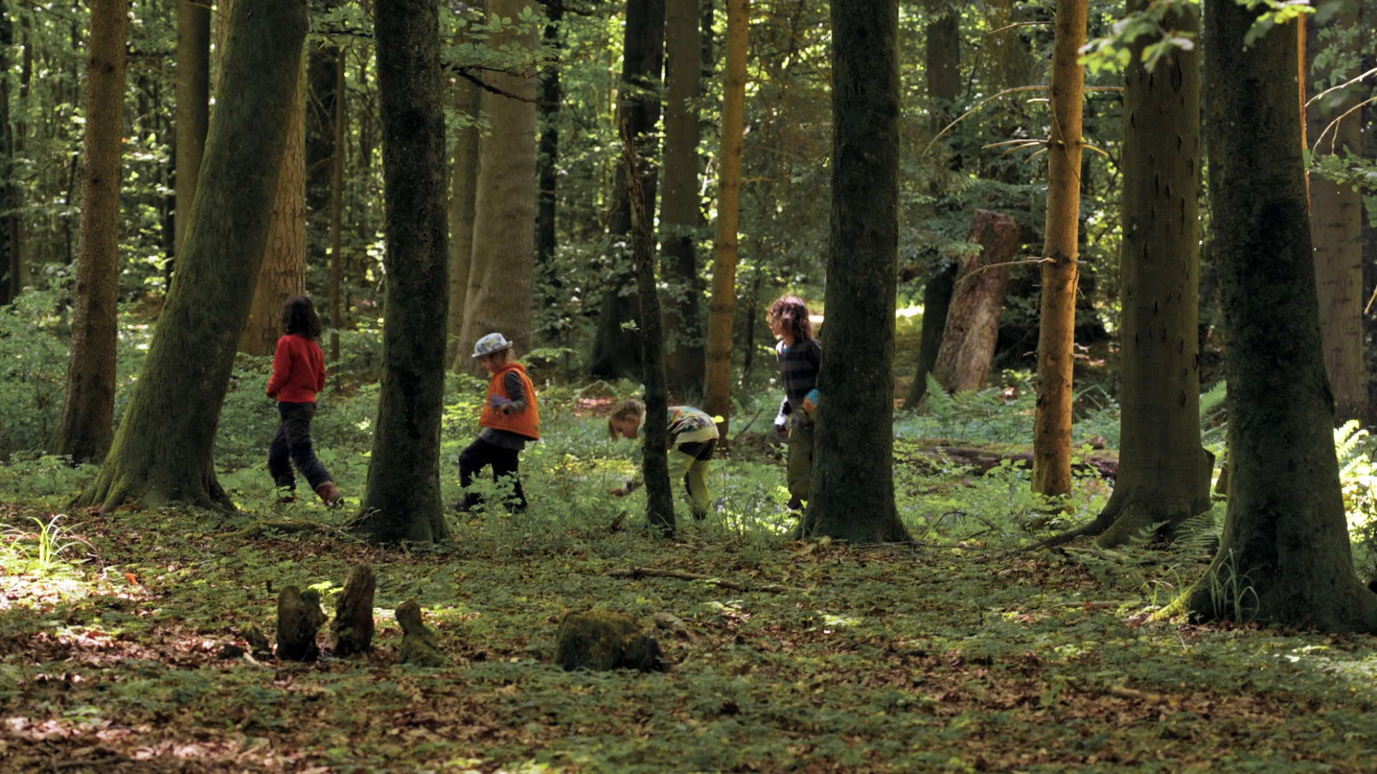 Von Kindern und Bäumen – Ein Jahr in der Waldschule hero banner image placeholder