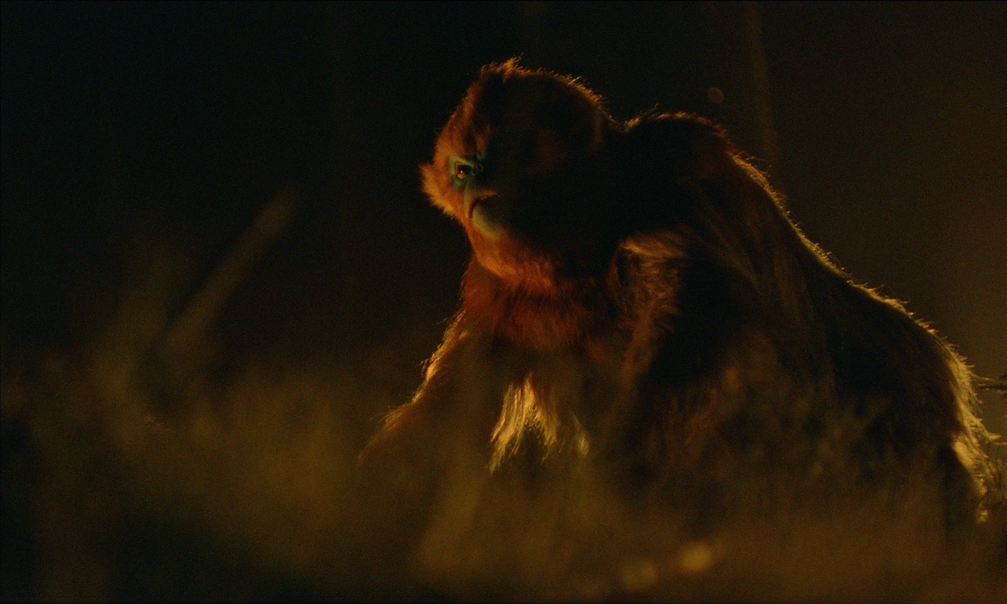 Die Legende von Ochi hero banner image placeholder