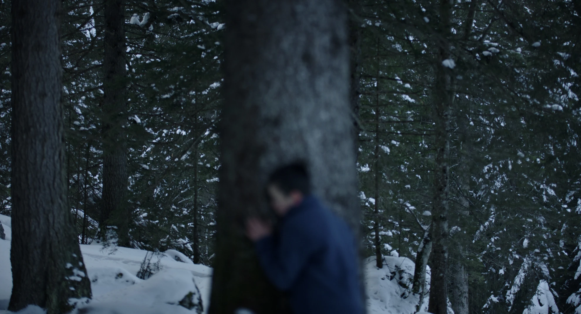 Réduit hero banner image placeholder