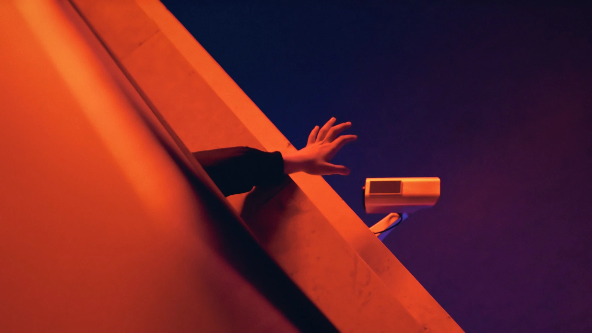 Tiger Girl hero banner image placeholder