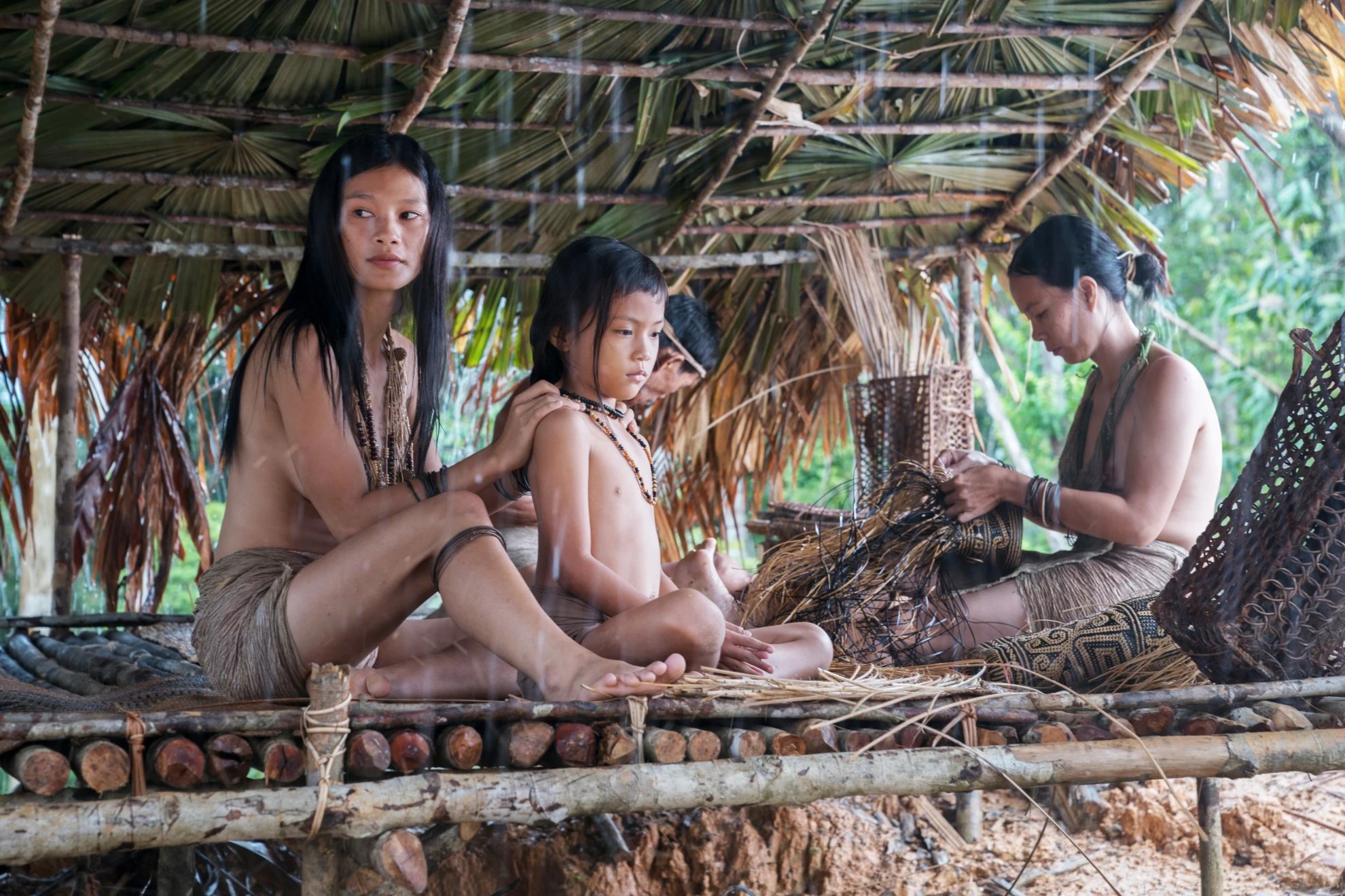 Bruno Manser - Die Stimme des Regenwaldes hero banner image placeholder