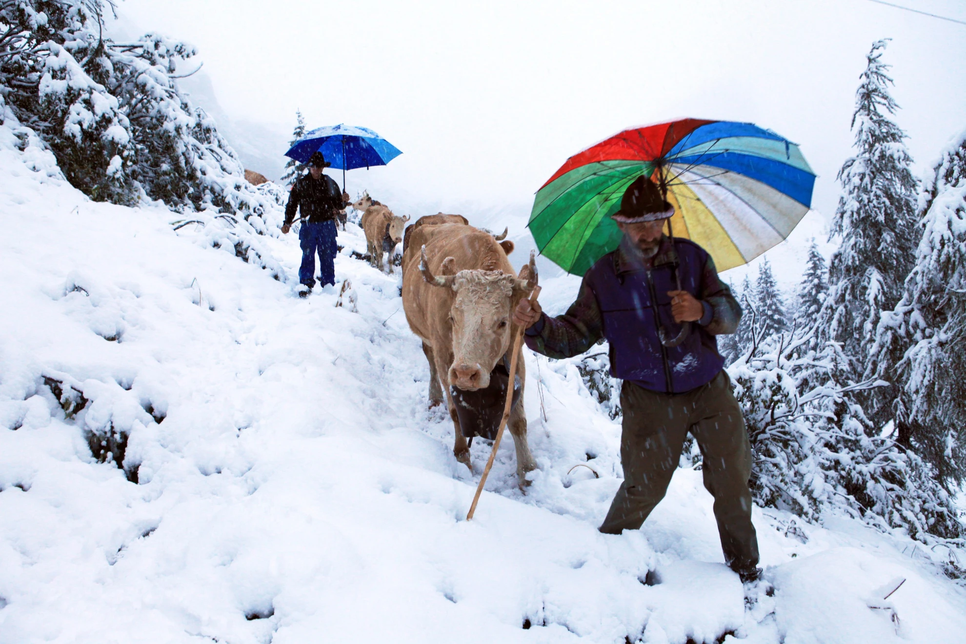 Alpzyt hero banner image placeholder