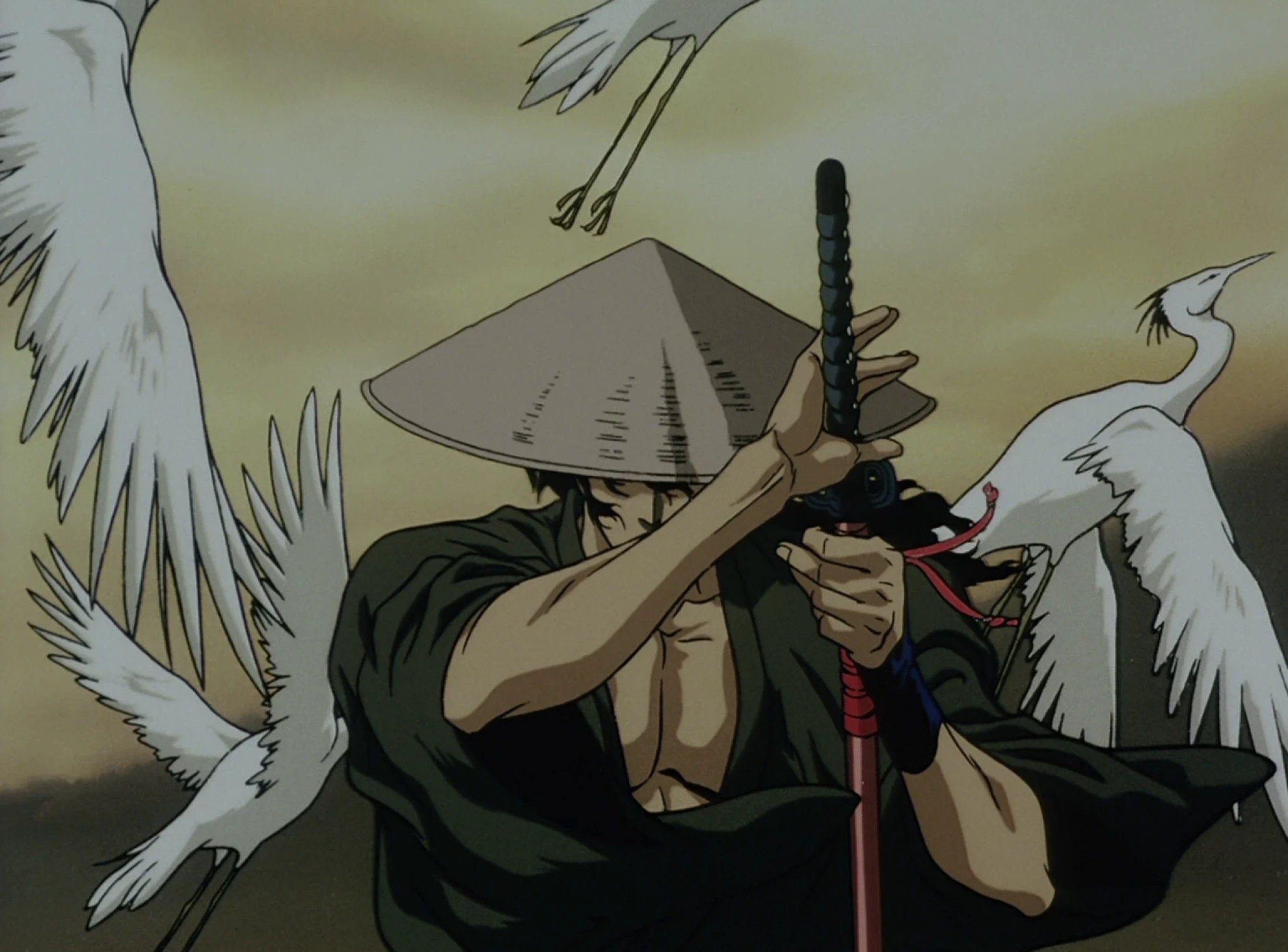 Ninja Scroll hero banner image placeholder