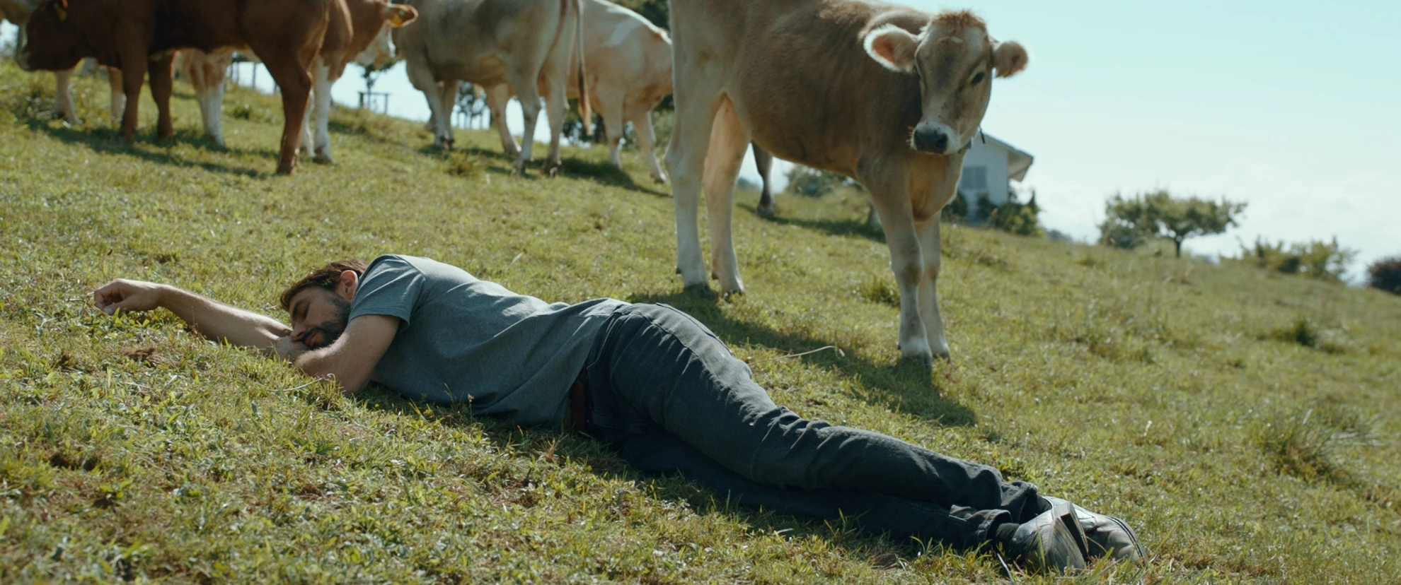 Lost in Paradise hero banner image placeholder