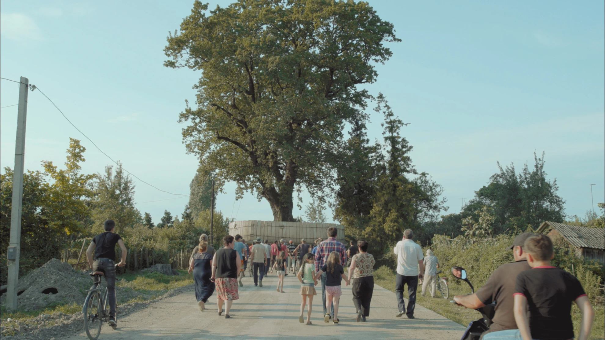 Taming the Garden hero banner image placeholder