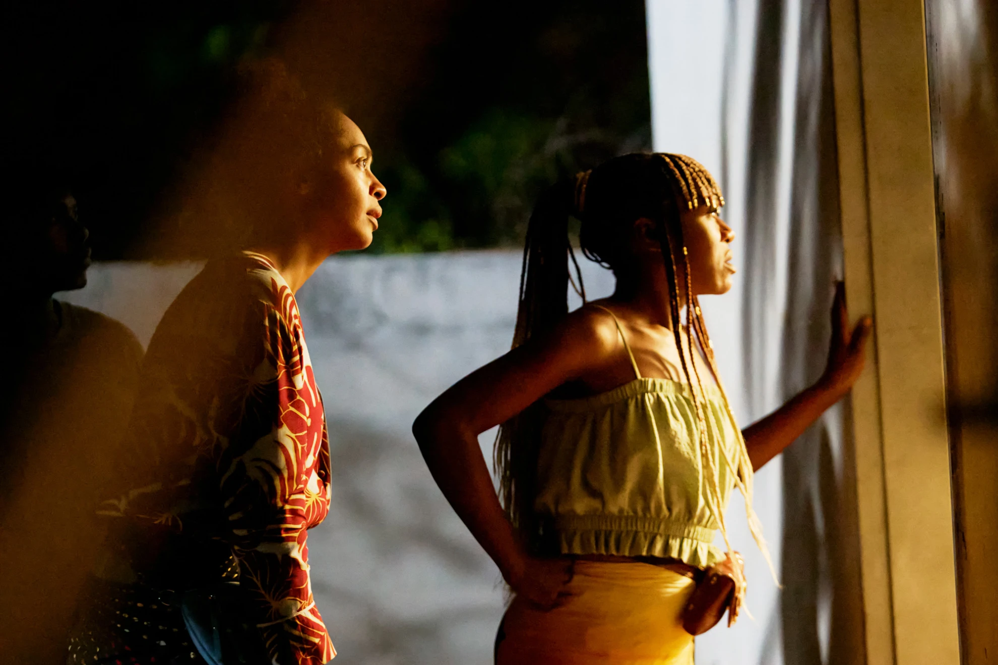 On Becoming a Guinea Fowl hero banner image placeholder