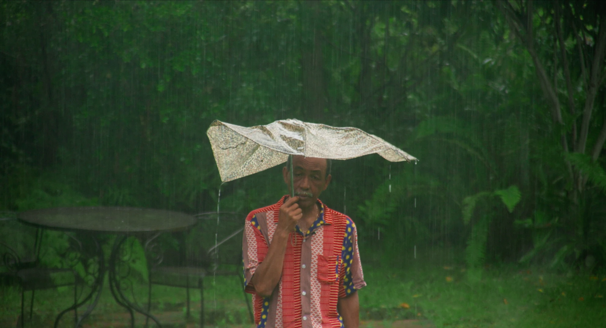 Black Film Festival: Shorts | Switzerland hero banner image