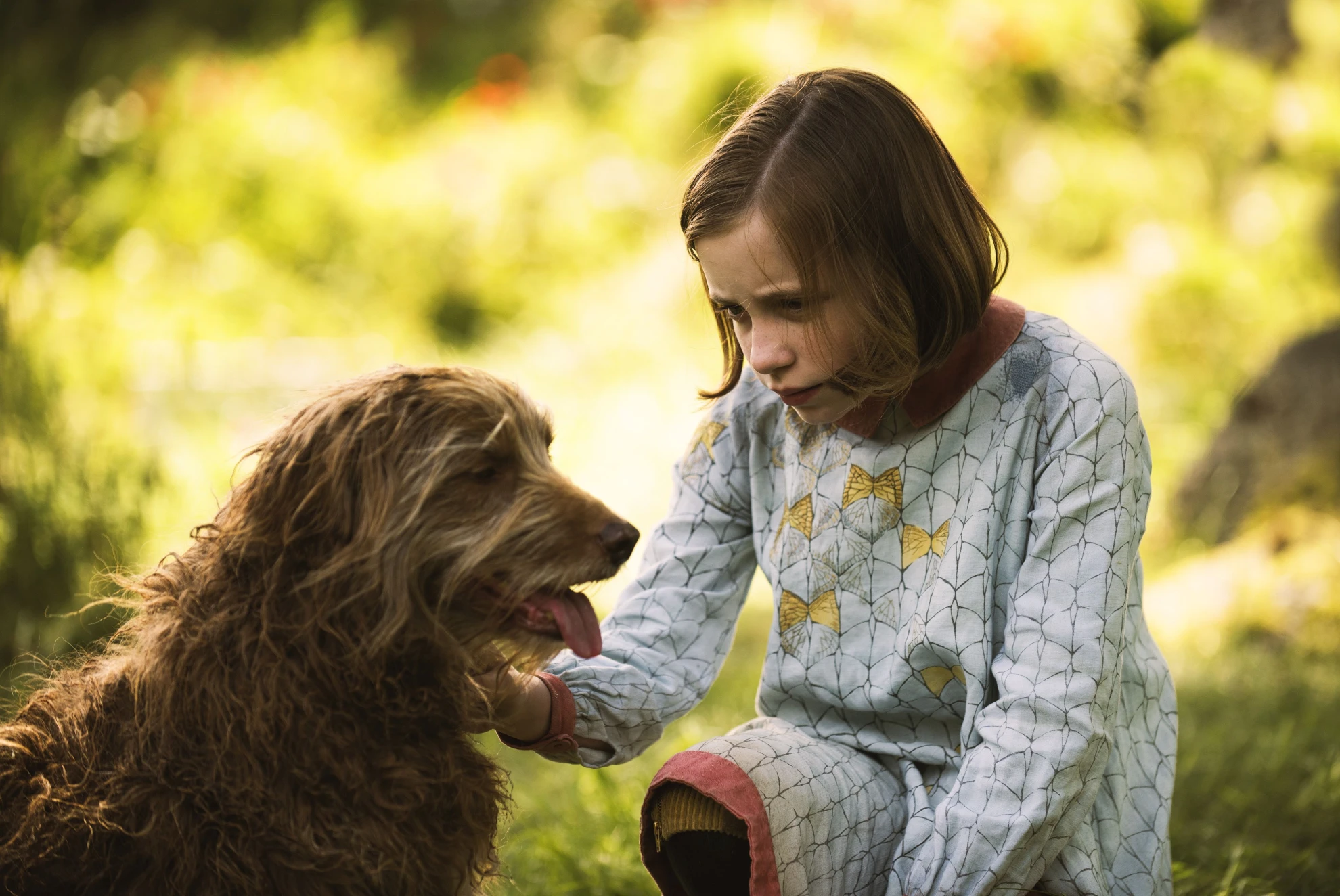 Der geheime Garten hero banner image placeholder