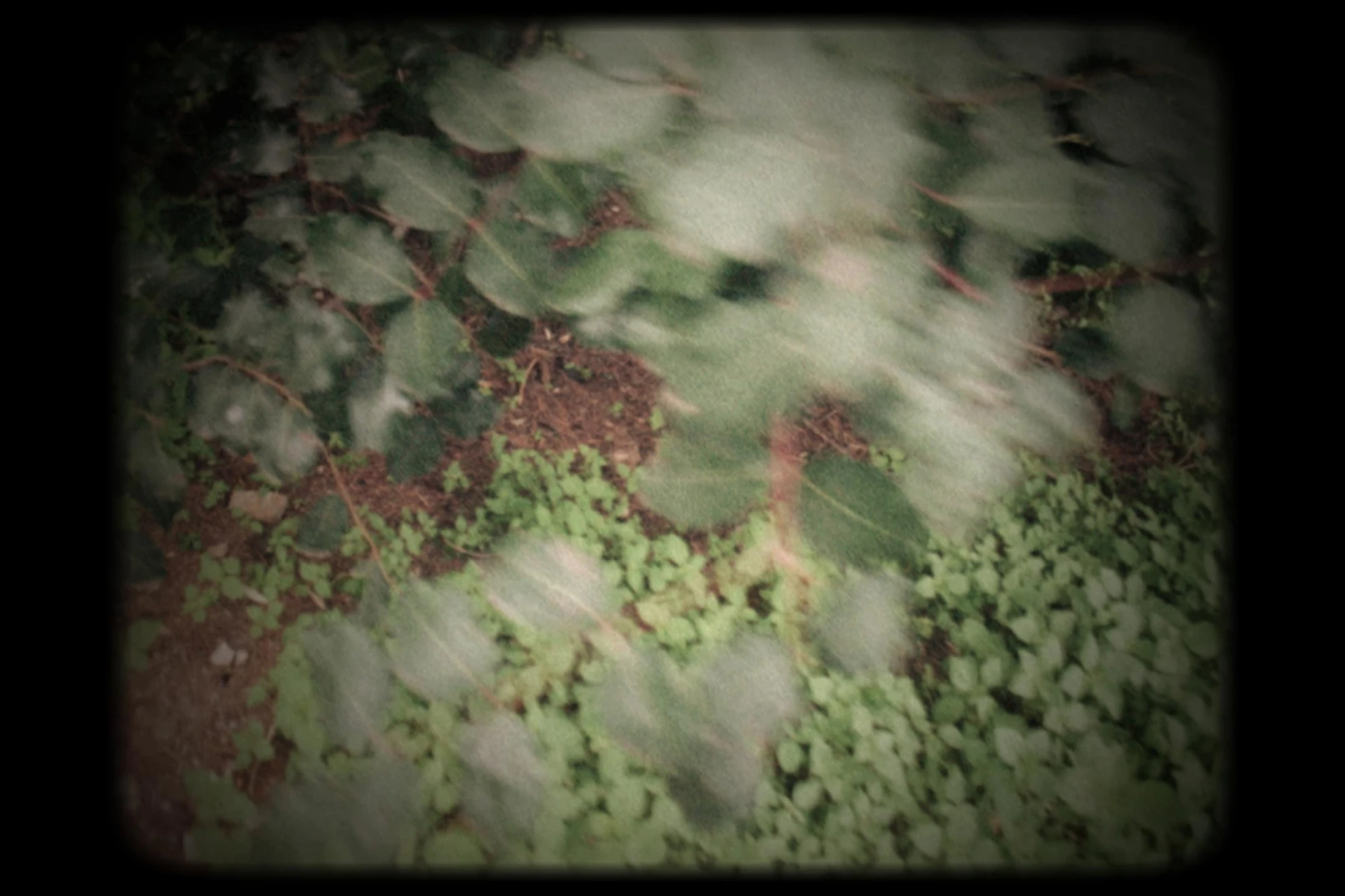 I See You Now - Kurzfilmblock hero banner image placeholder