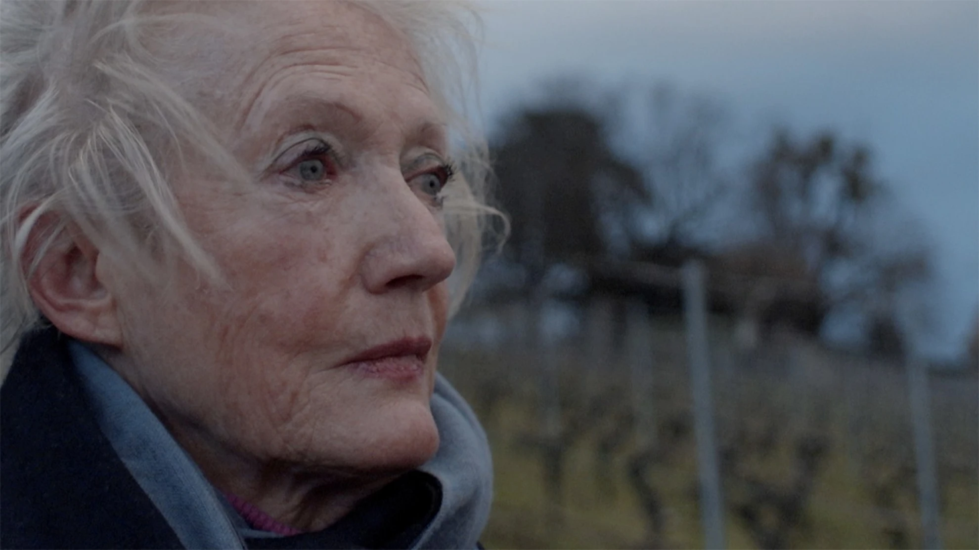 Les Dames hero banner image placeholder