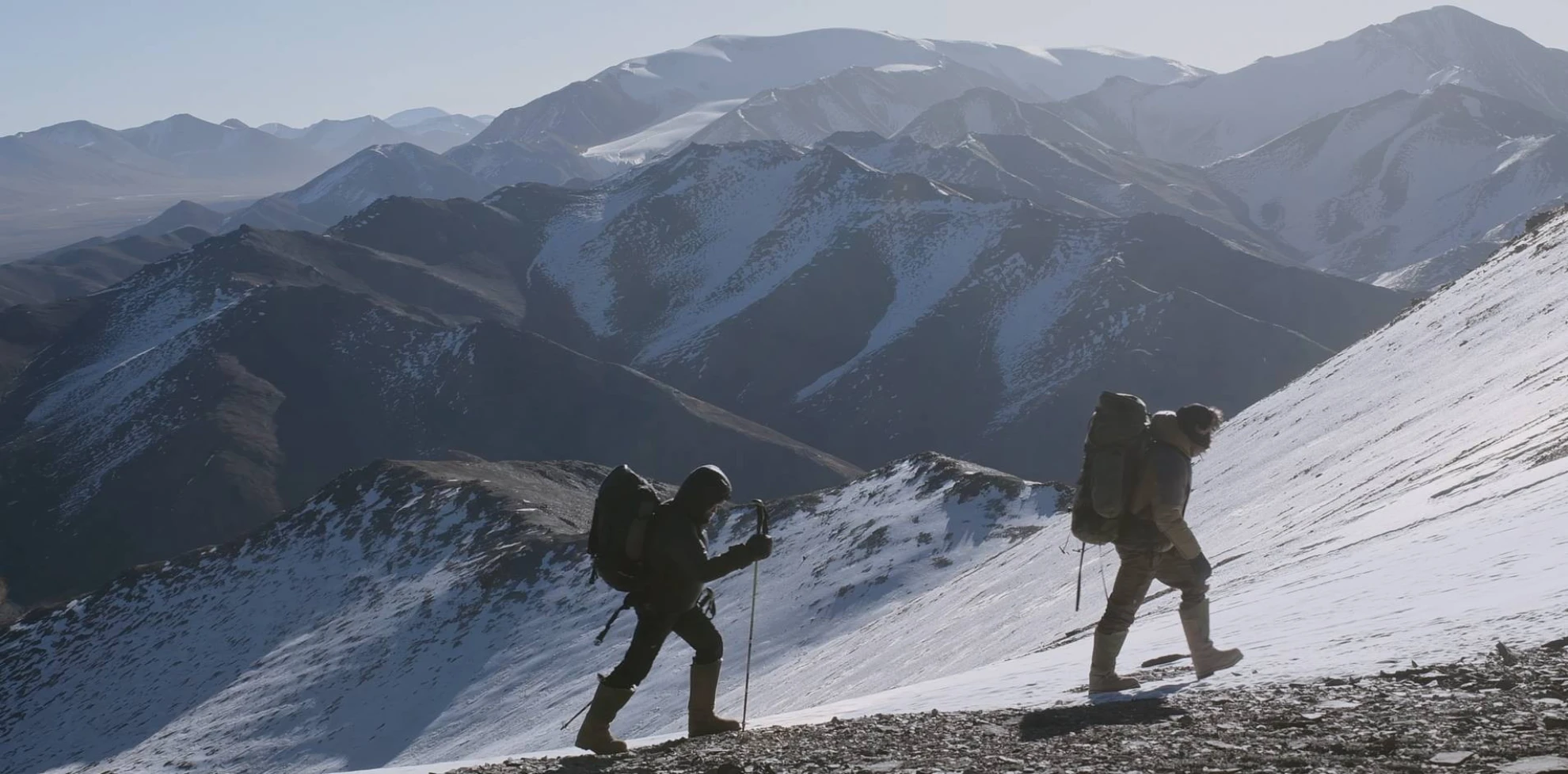 La Panthère des Neiges hero banner image placeholder