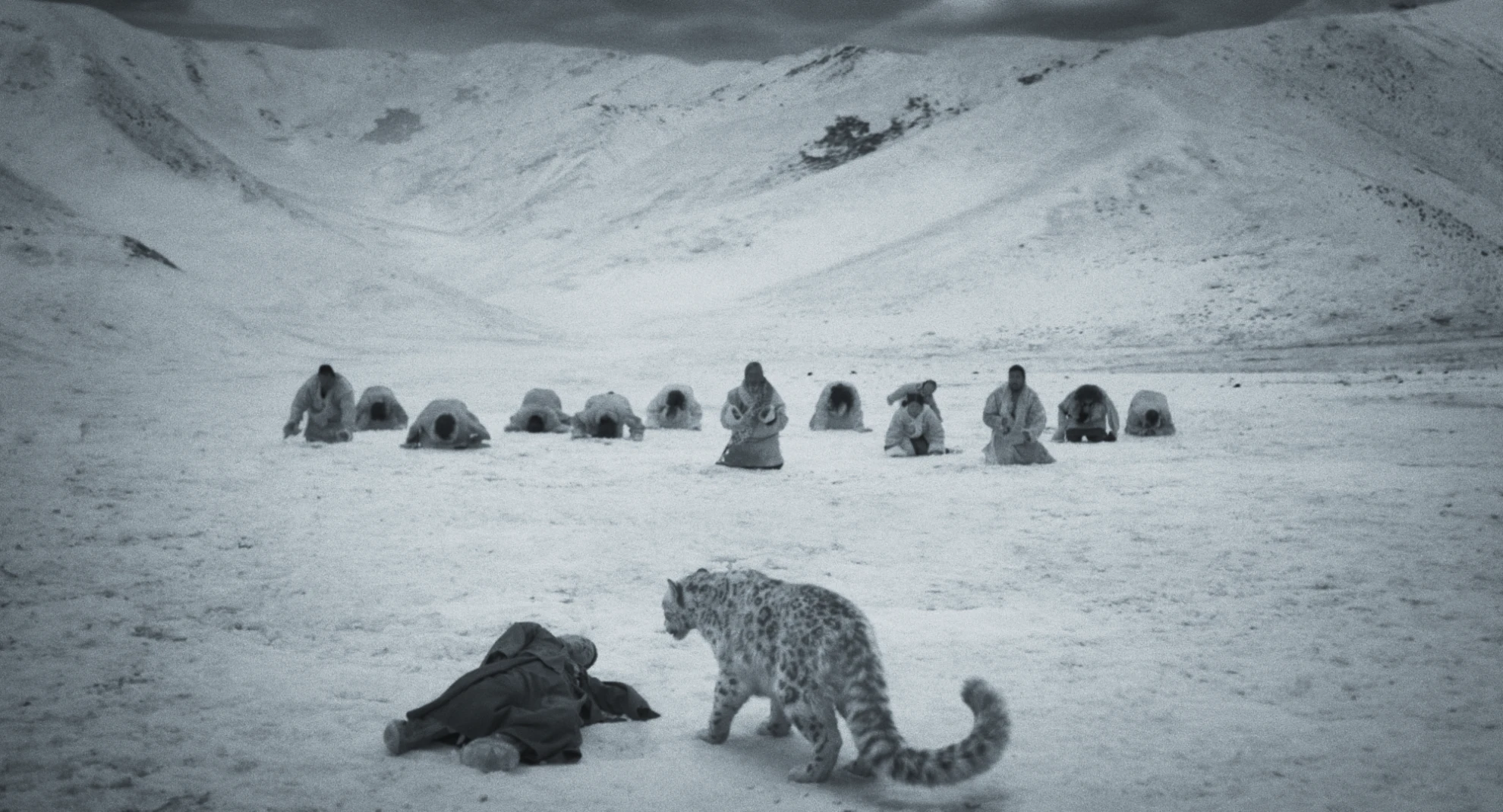 Xue Bao hero banner image placeholder