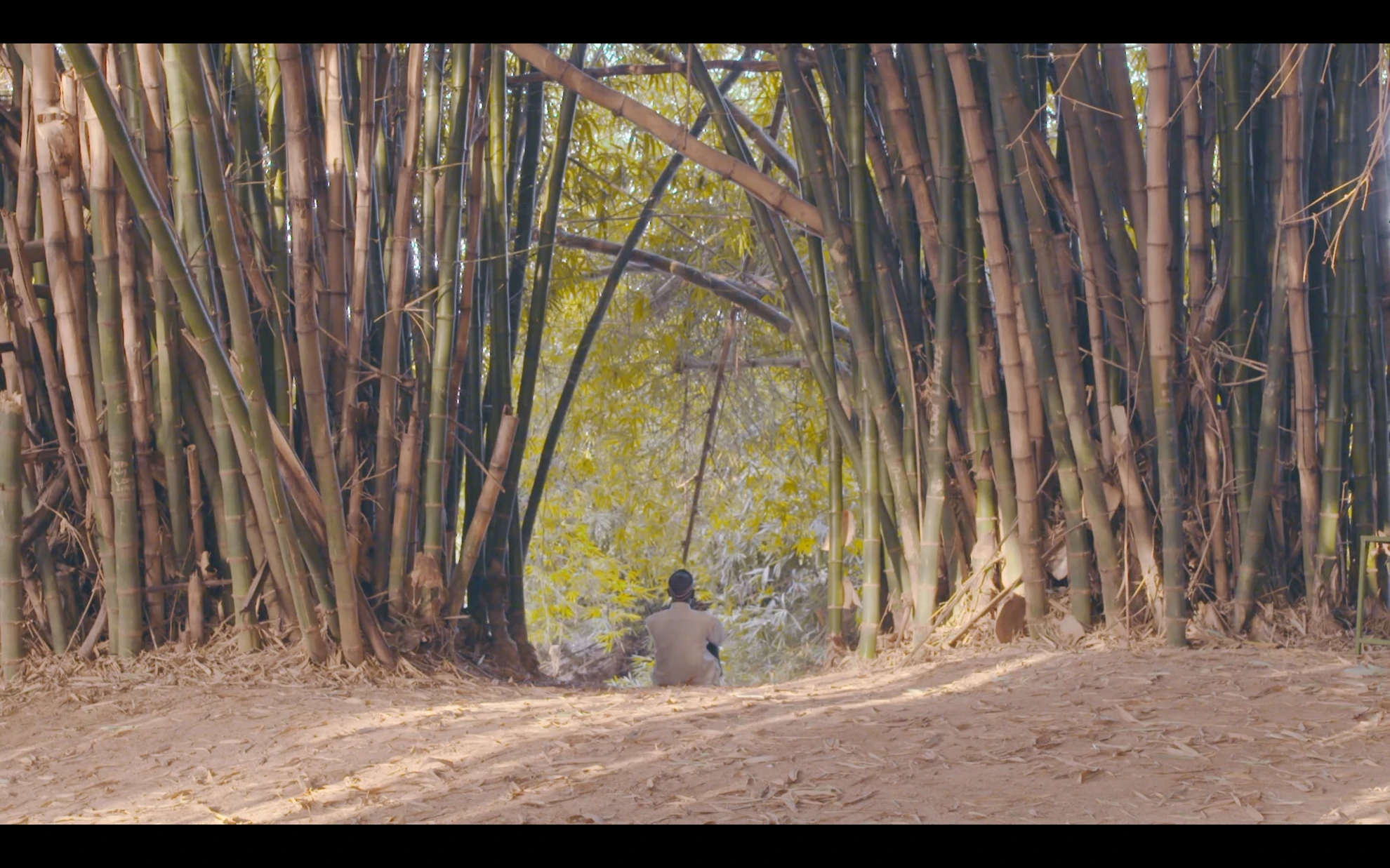 Le Taxi, le Cinéma et Moi hero banner image placeholder