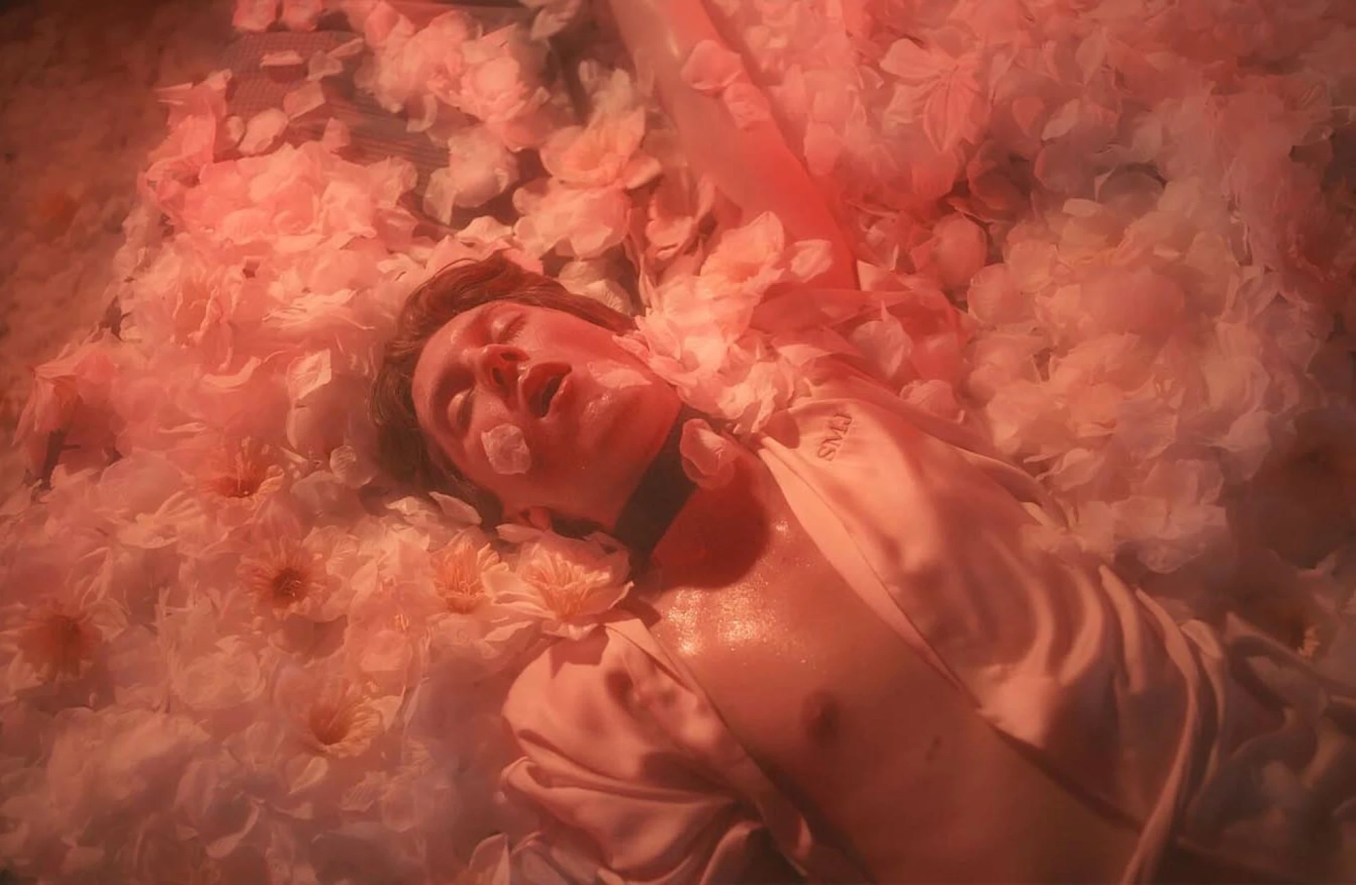 Porny Shorts 1 hero banner image placeholder