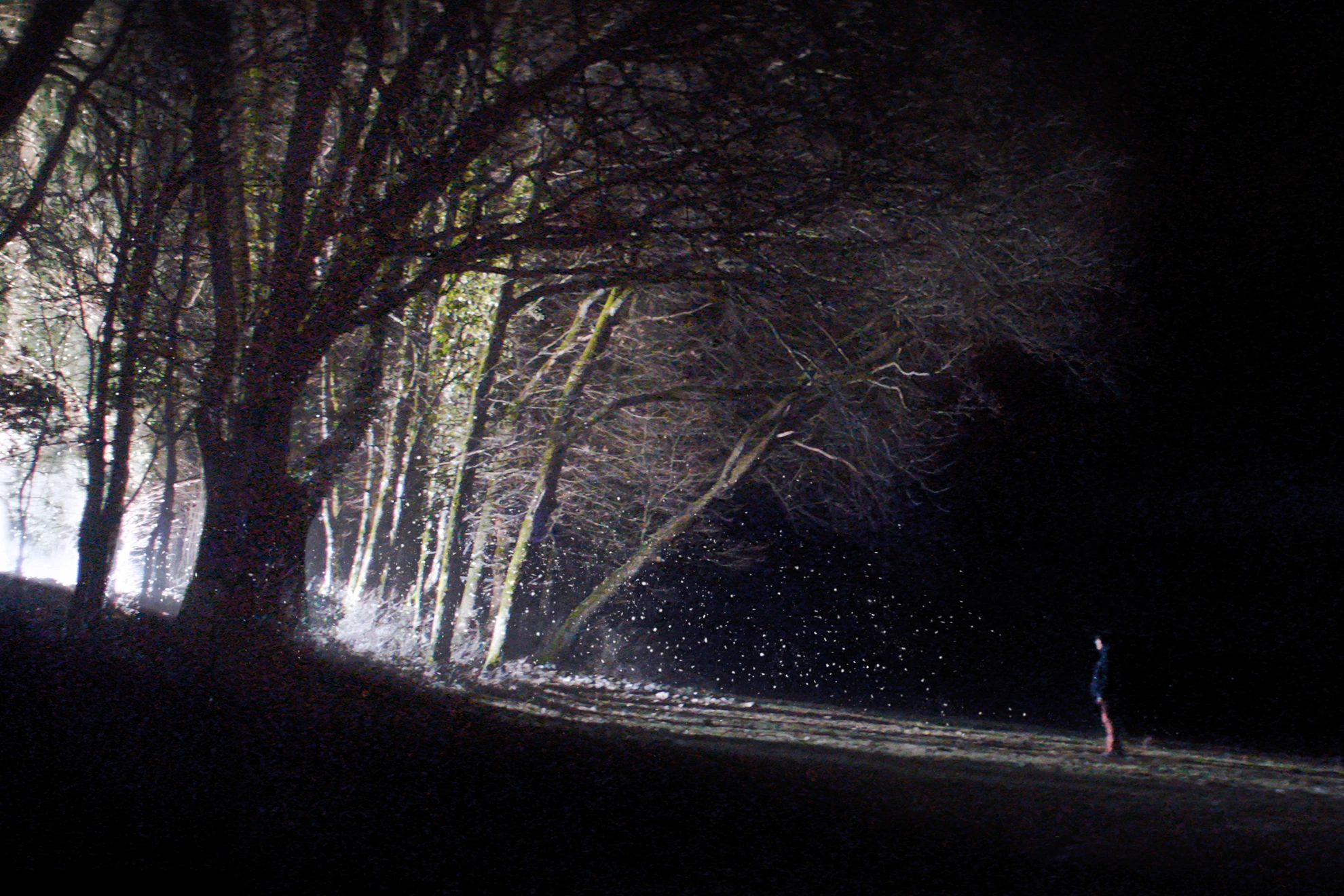 Les particules hero banner image placeholder