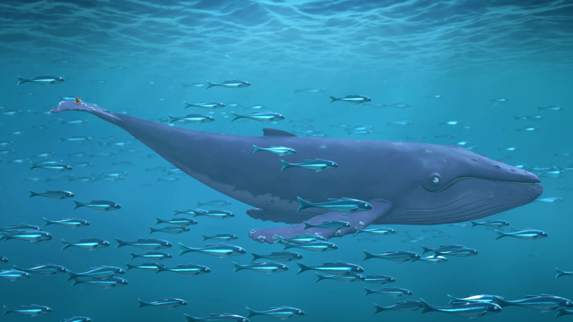 Die Schnecke und der Buckelwal (Kurzfilme) hero banner image placeholder