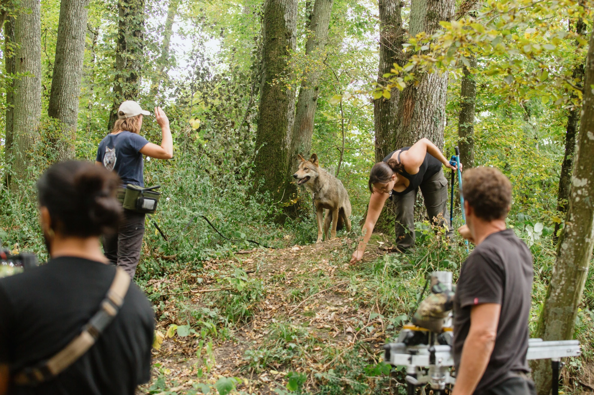 Bambi. Eine Lebensgeschichte aus dem Wald hero banner image placeholder