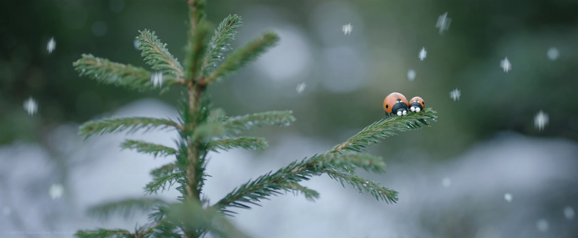 Minuscule – Abenteuer in der Karibik hero banner image placeholder