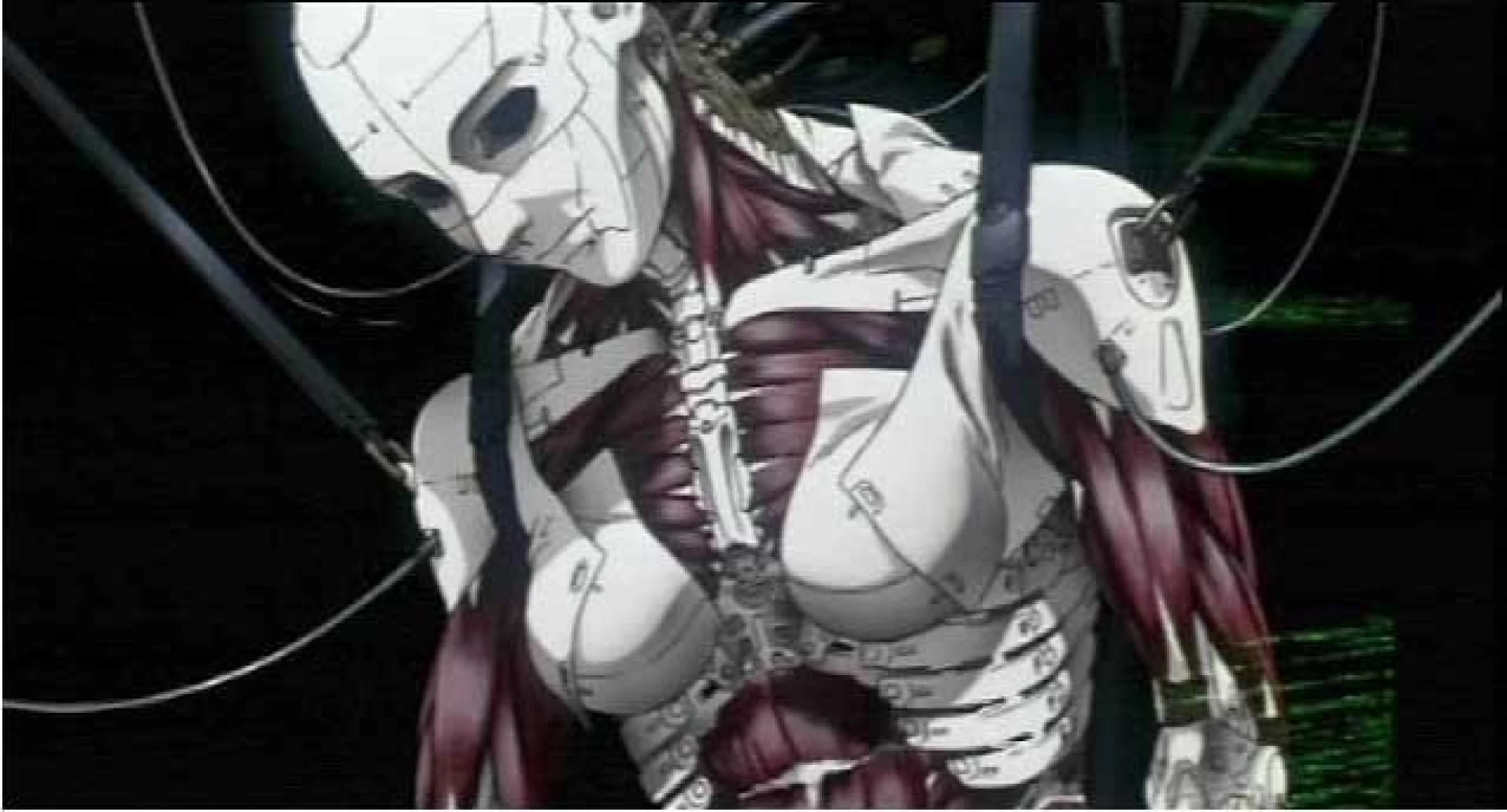 Ghost in the Shell hero banner image placeholder