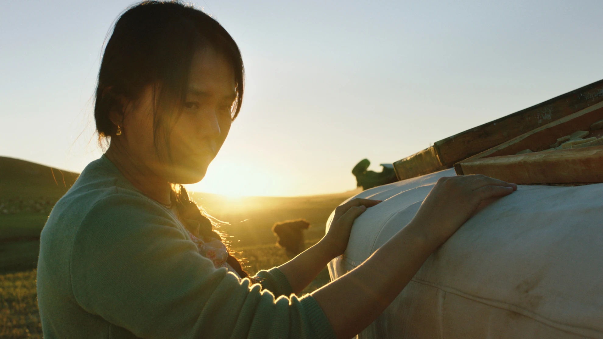 Die Adern der Welt hero banner image placeholder