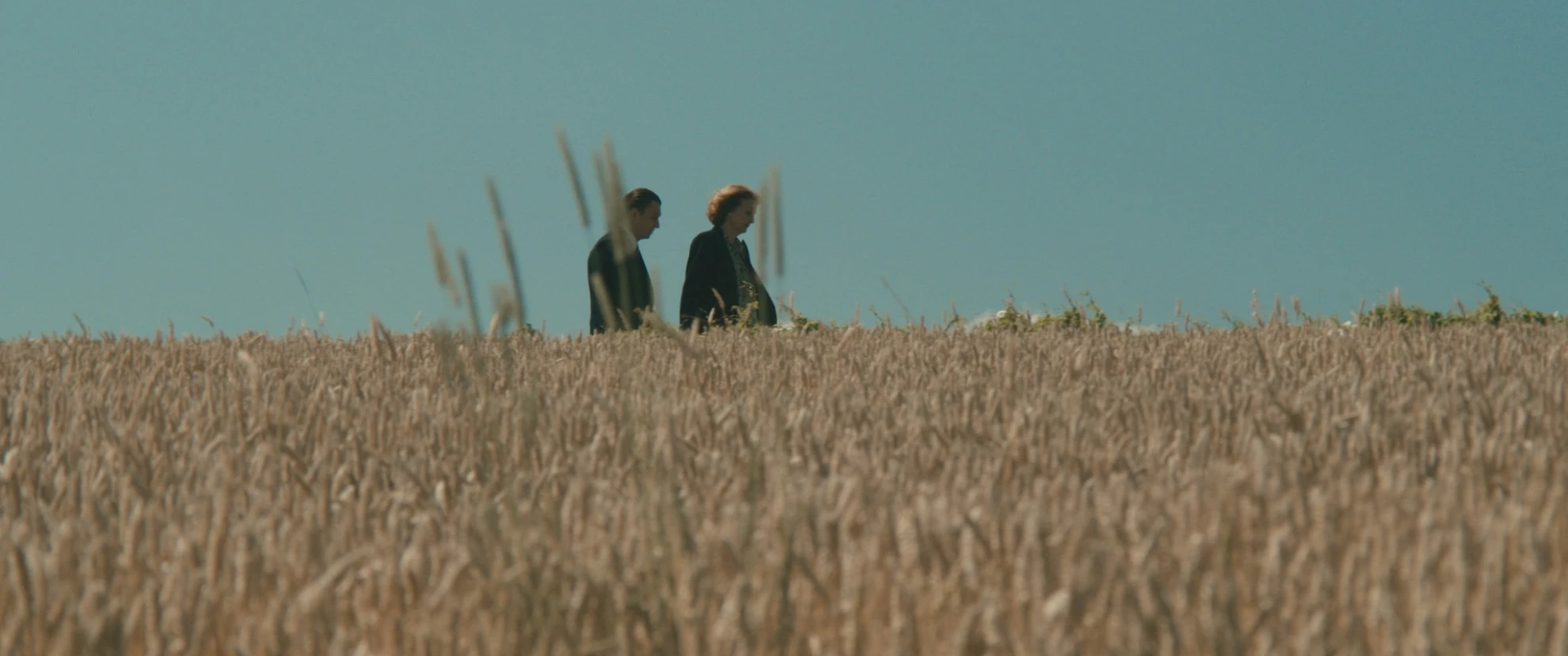 Alles über Martin Suter. Ausser die Wahrheit. hero banner image placeholder