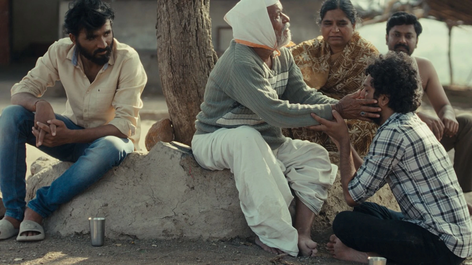 Cactus Pears hero banner image placeholder