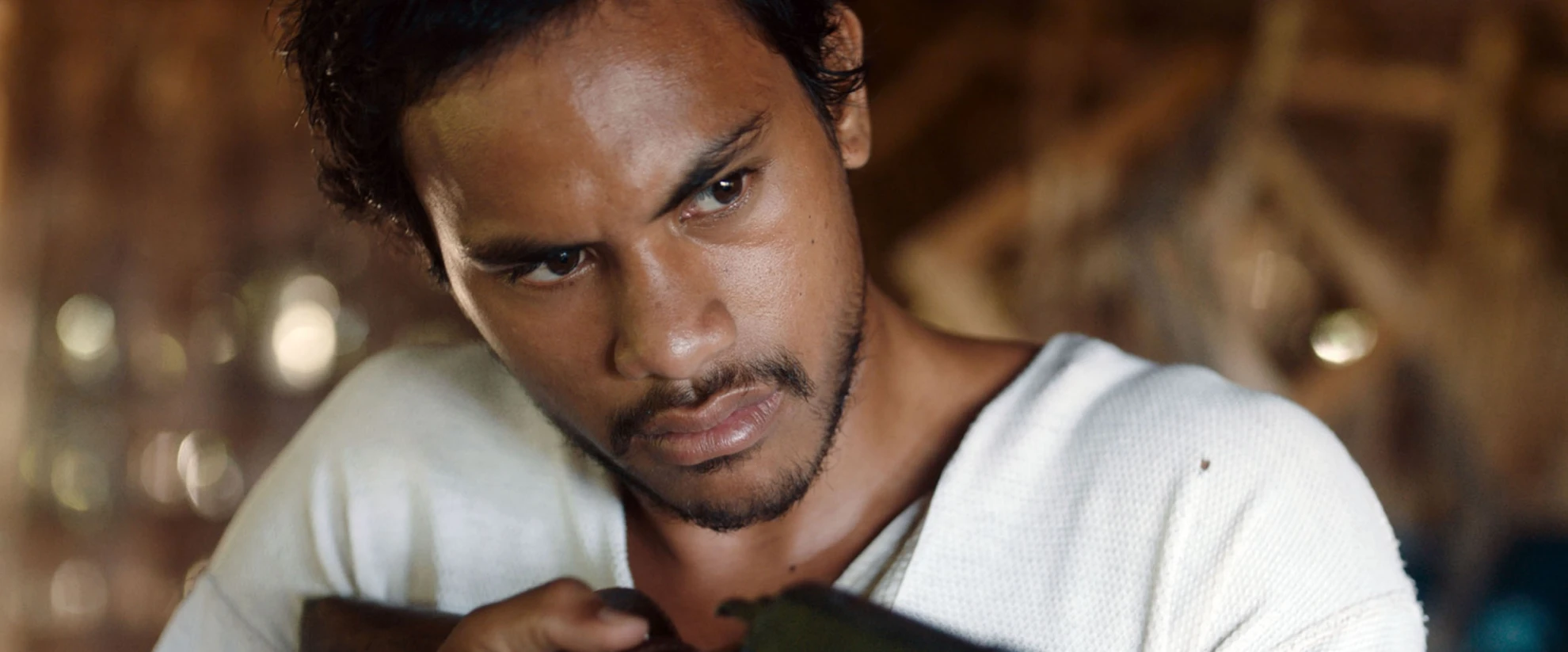 Gauguin - voyage de tahiti hero banner image placeholder