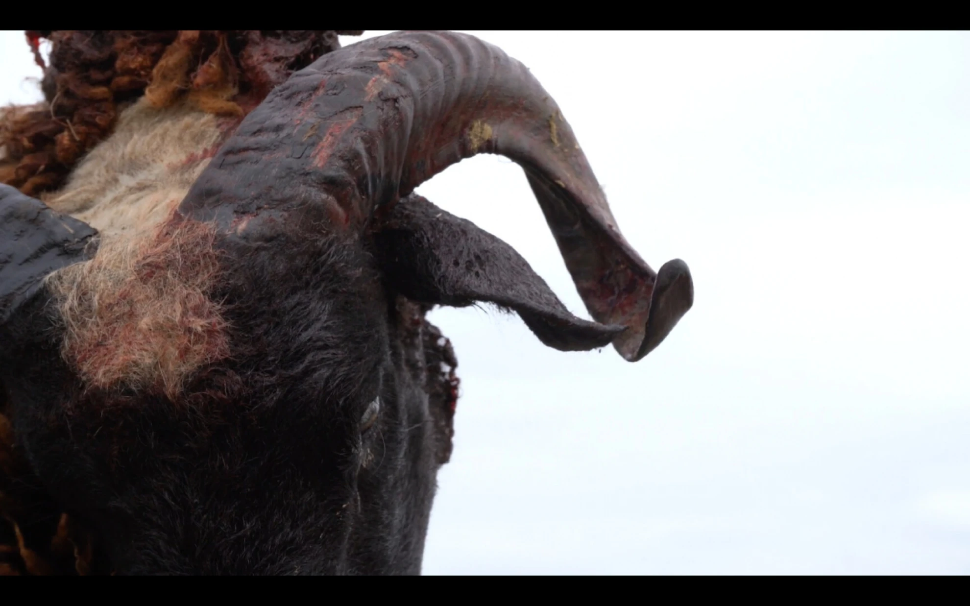 Past Lives - Kurzfilmblock hero banner image placeholder