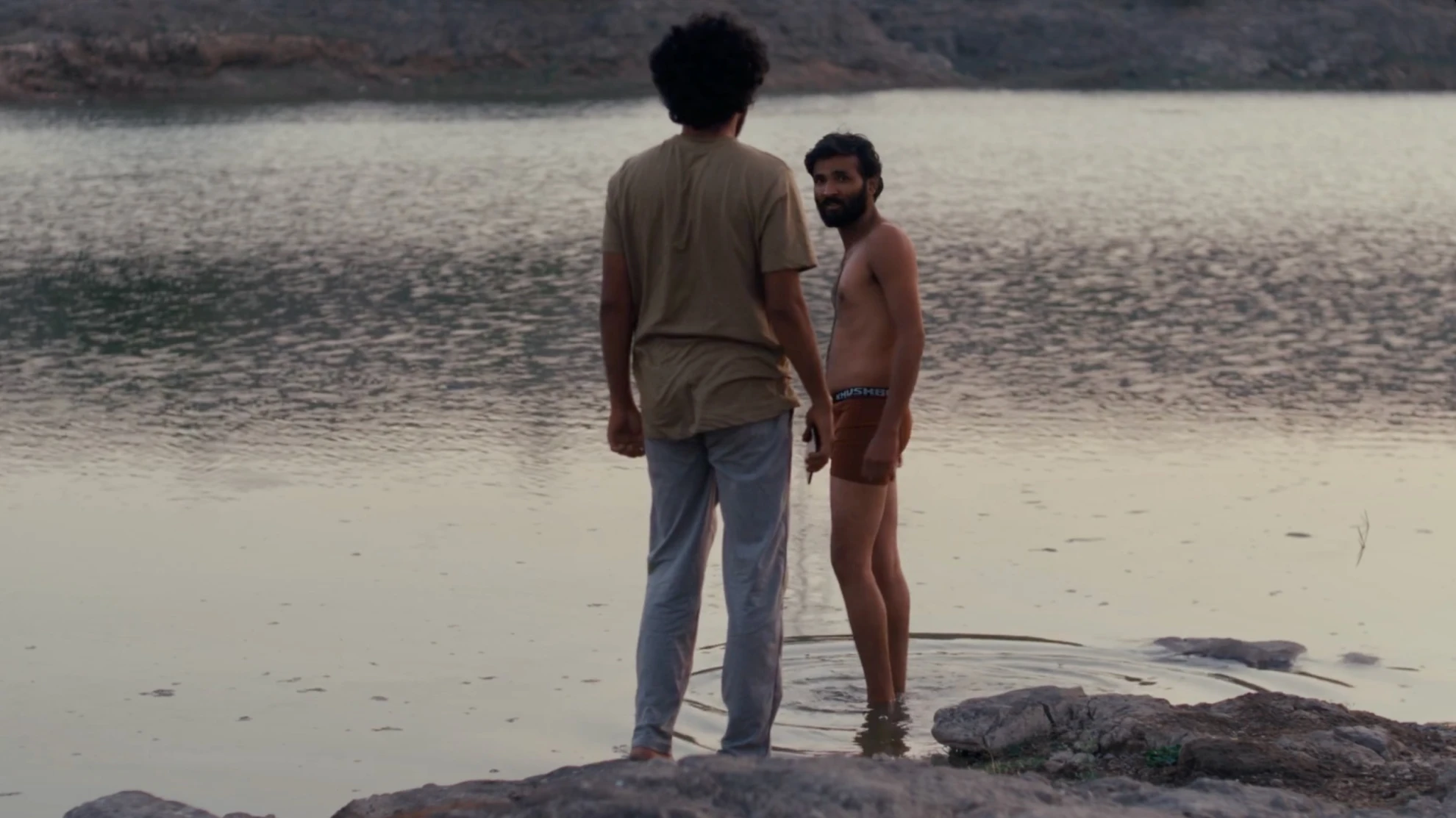 Cactus Pears hero banner image placeholder