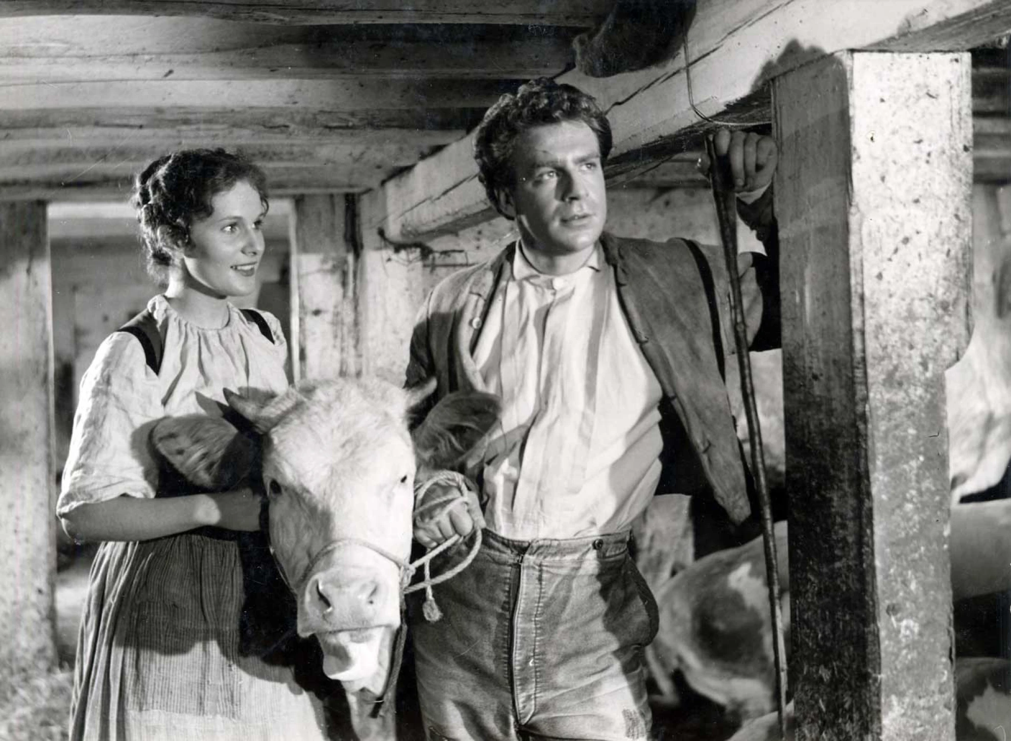 Uli der Knecht hero banner image placeholder