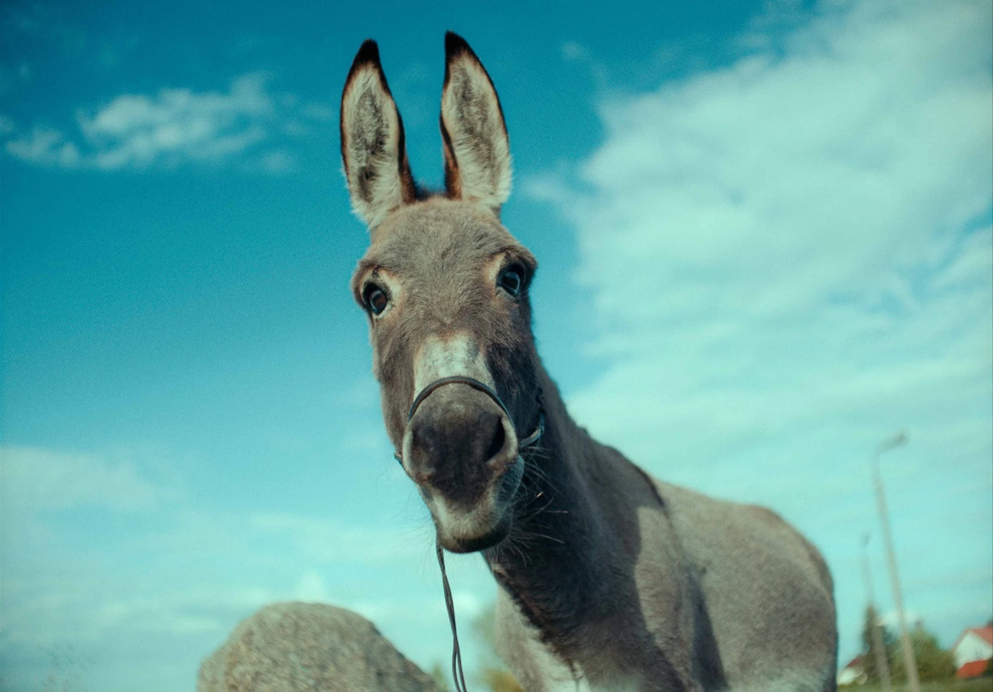 EO hero banner image placeholder