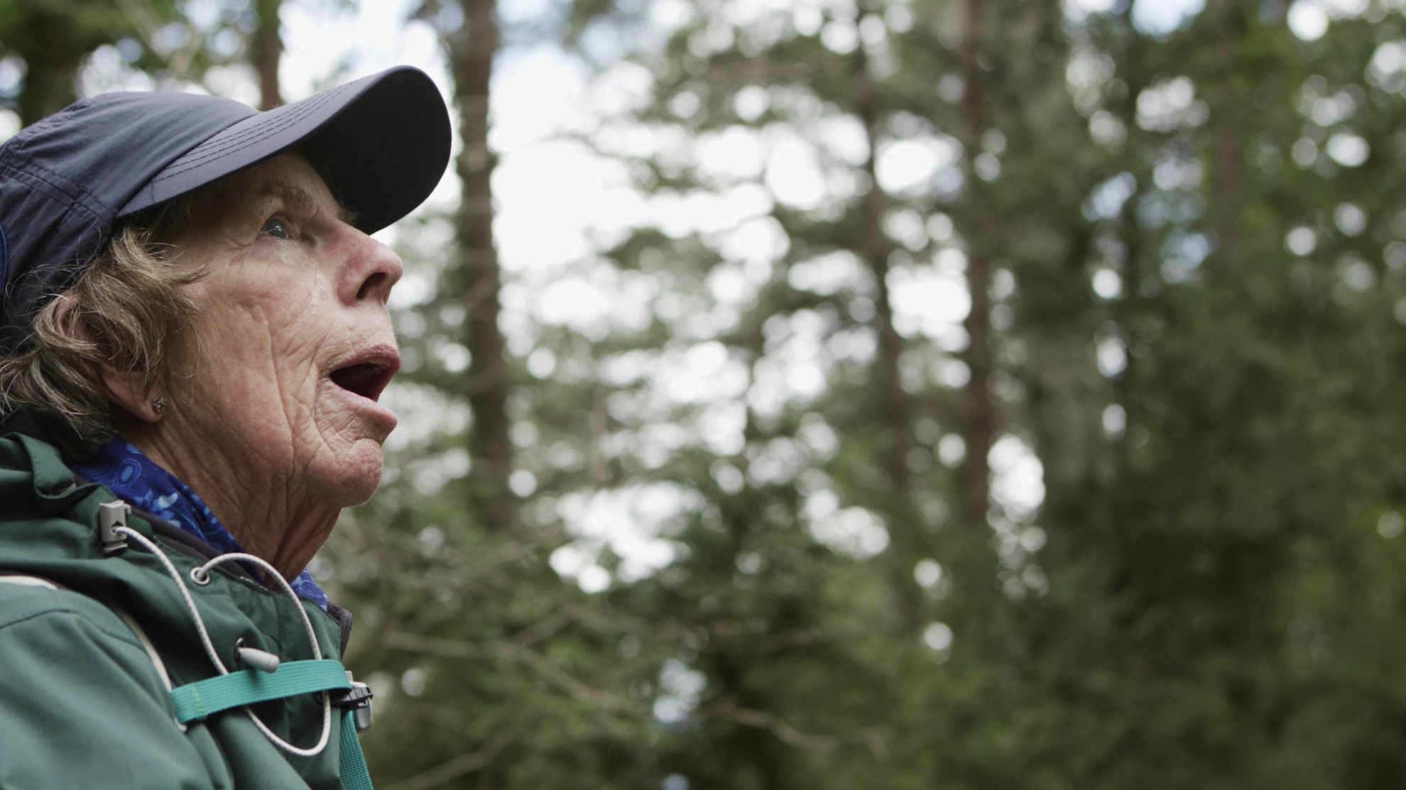 Camino Skies - Himmel über dem Camino hero banner image placeholder