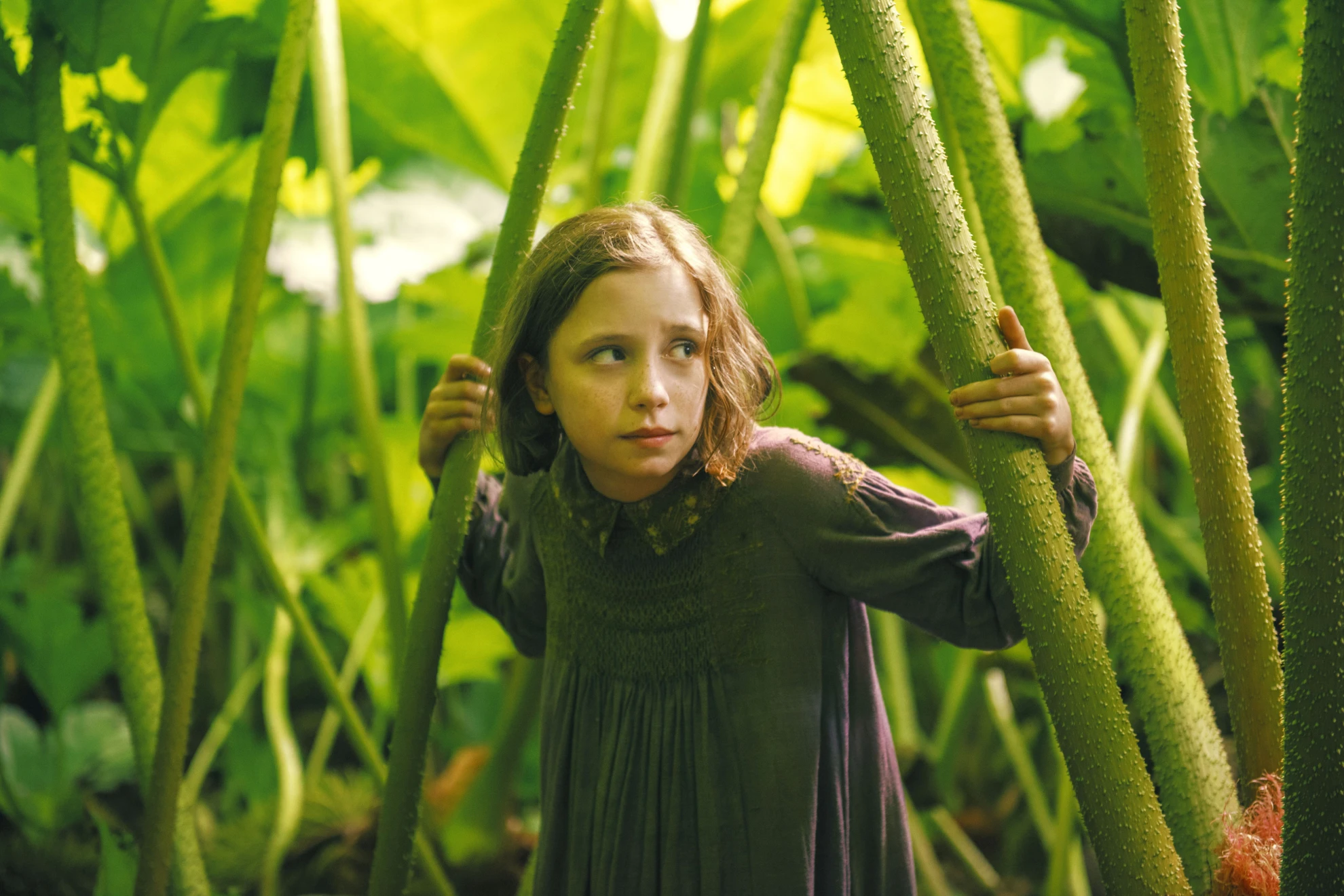 Der geheime Garten hero banner image