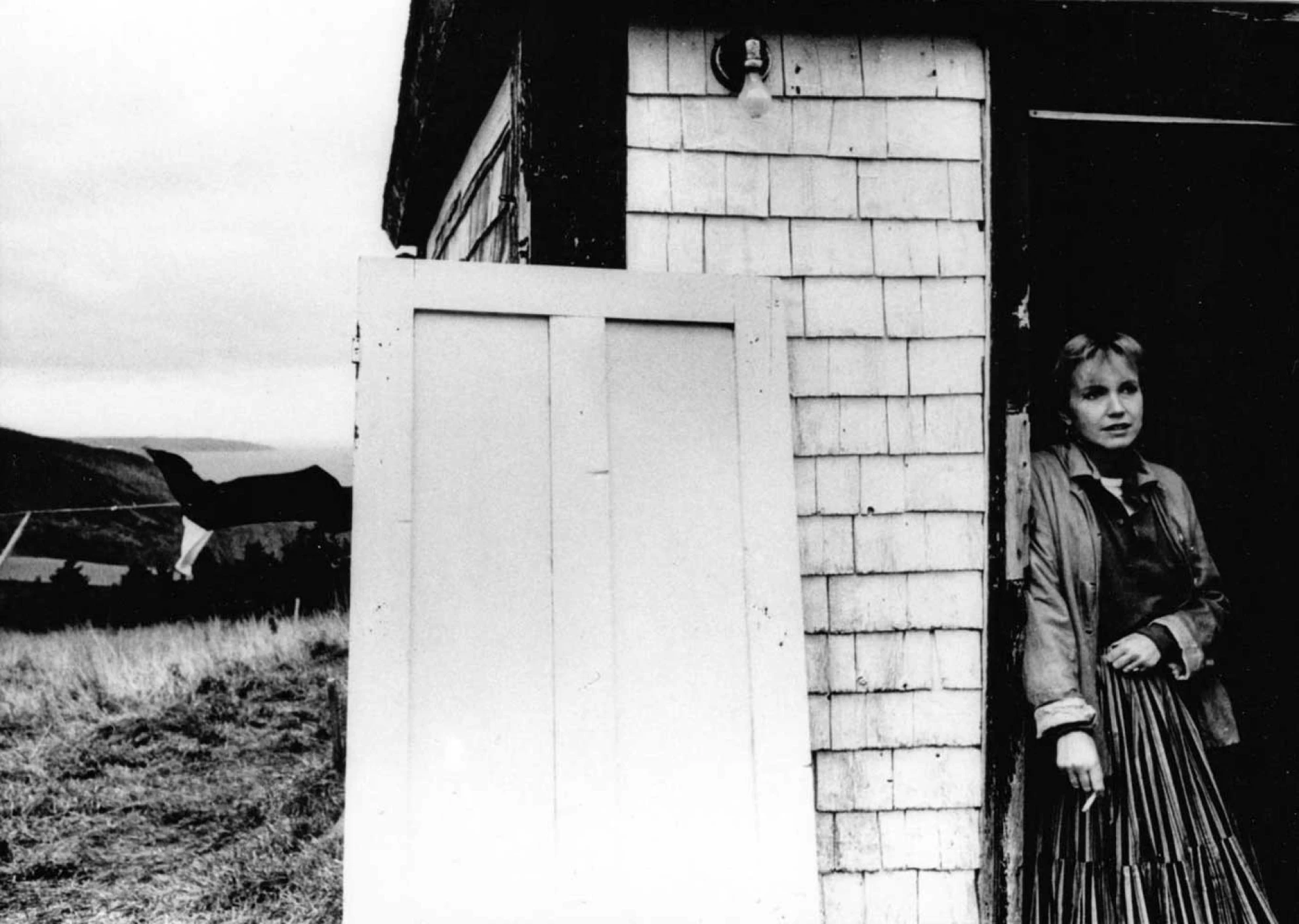 Candy Mountain hero banner image placeholder