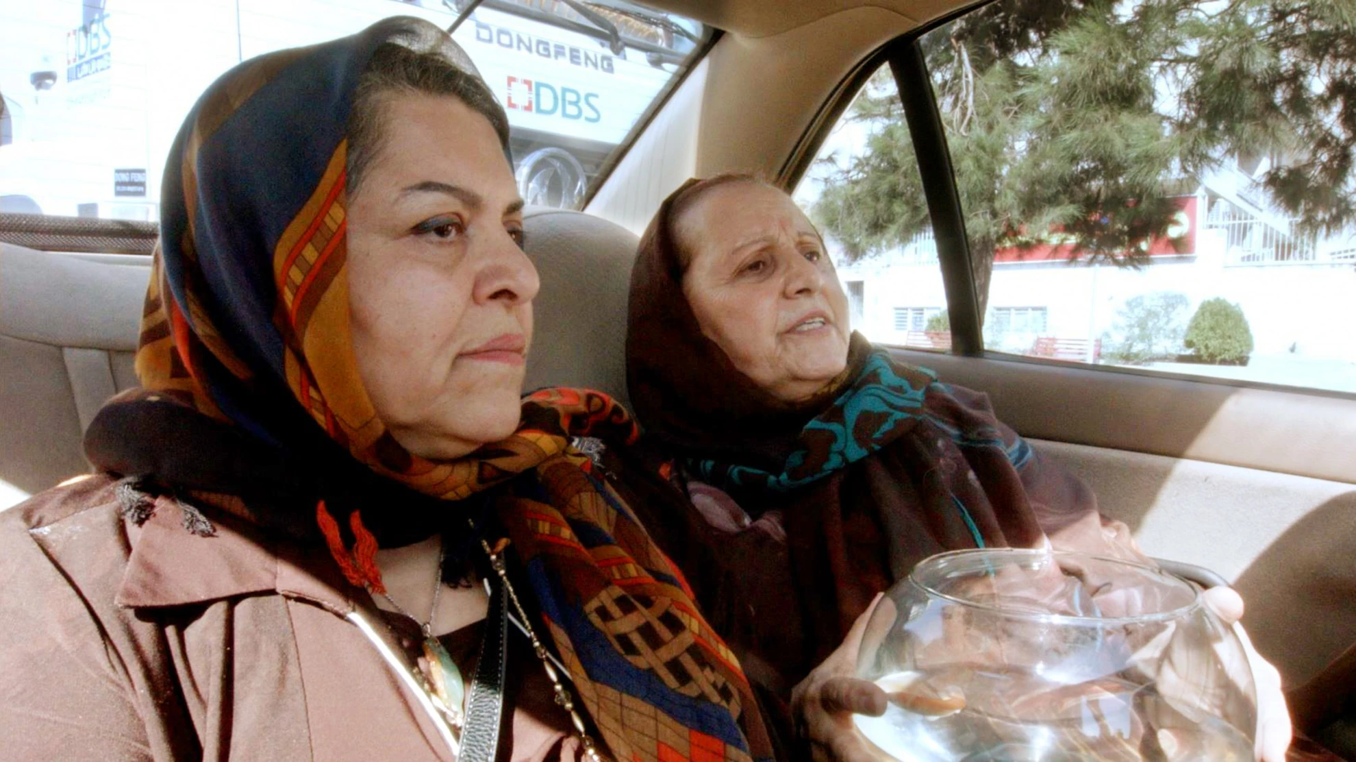 Taxi teheran hero banner image placeholder