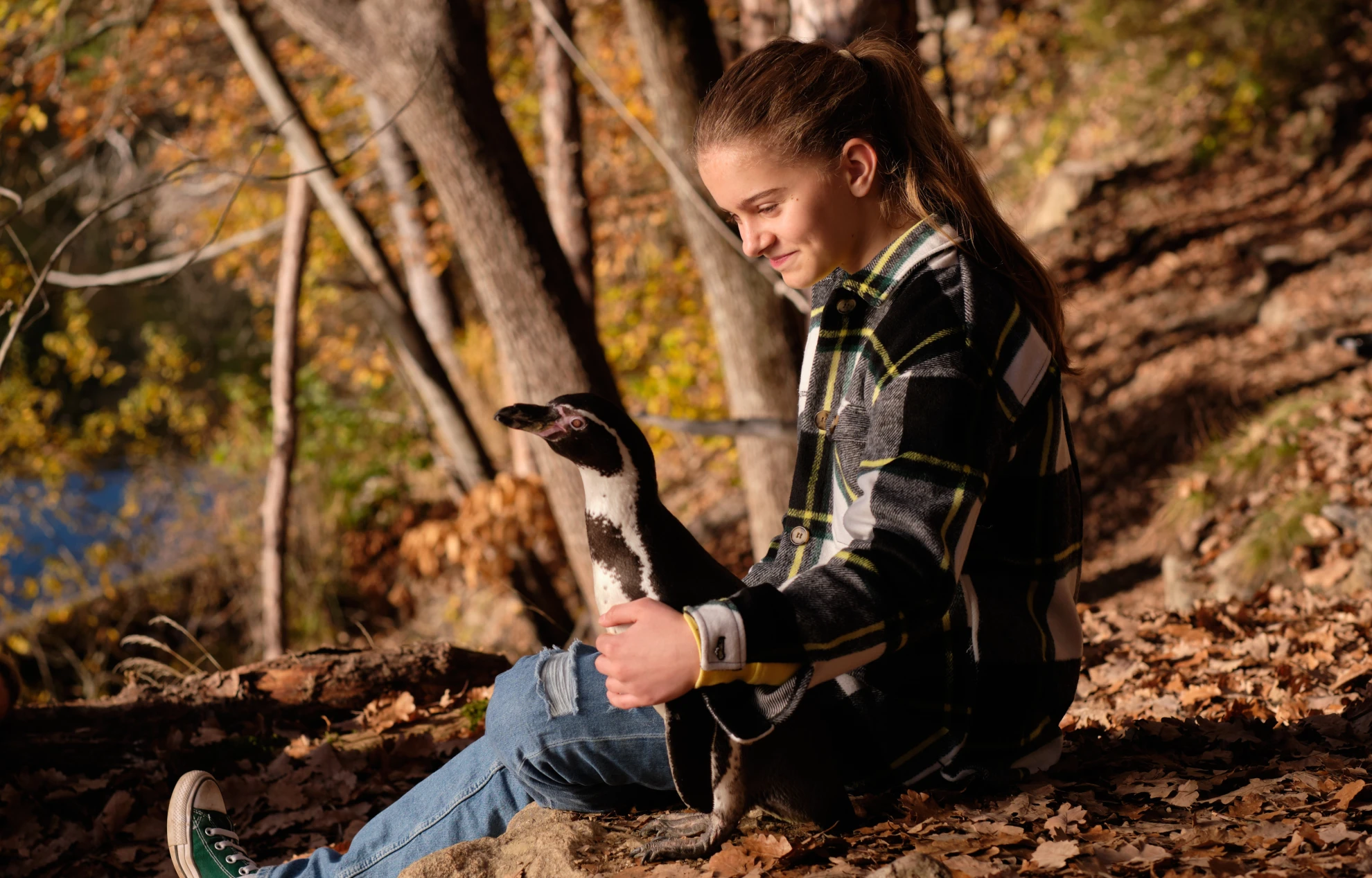 Die Chaosschwestern und Pinguin Paul hero banner image placeholder