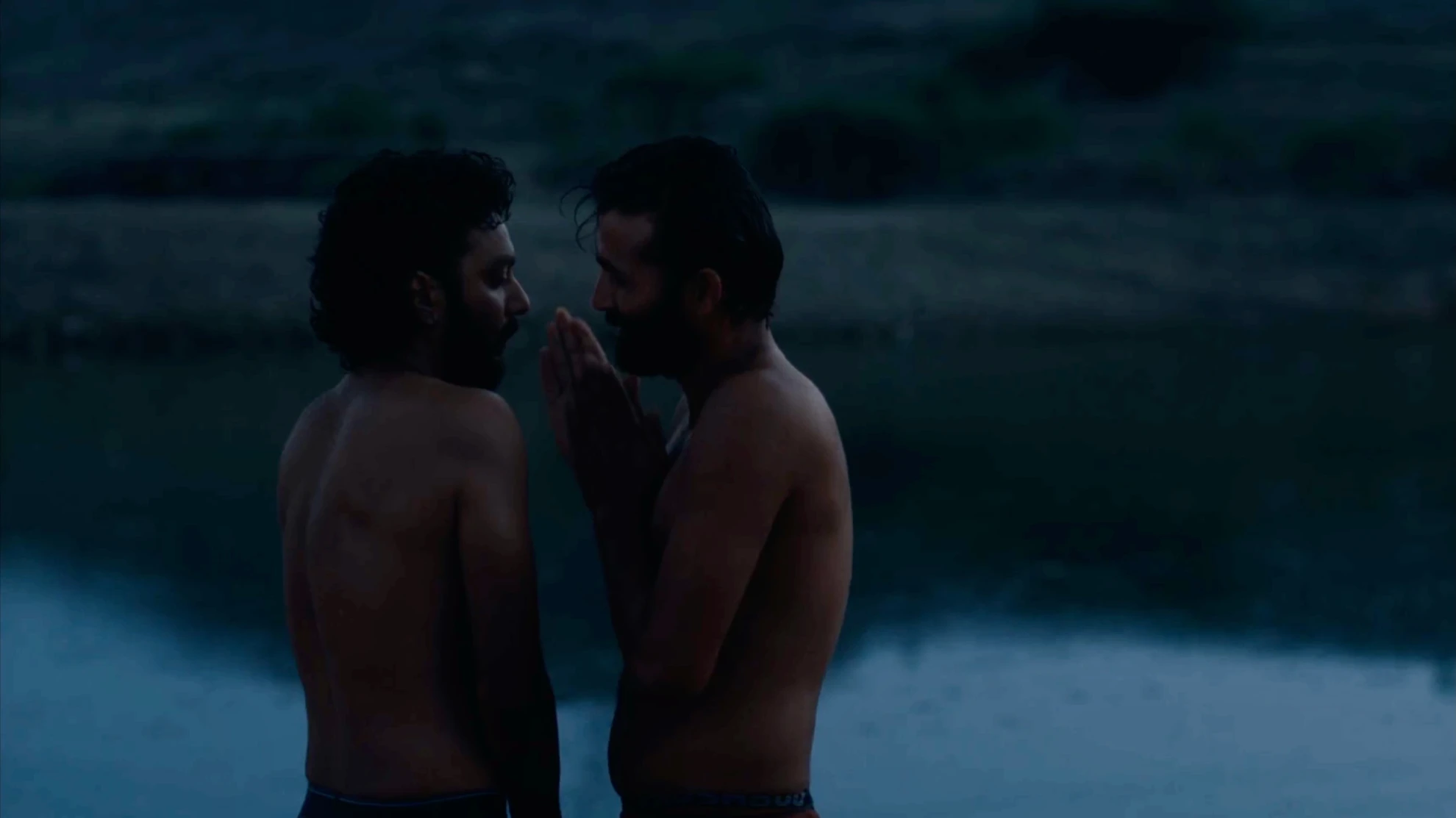 Cactus Pears hero banner image placeholder