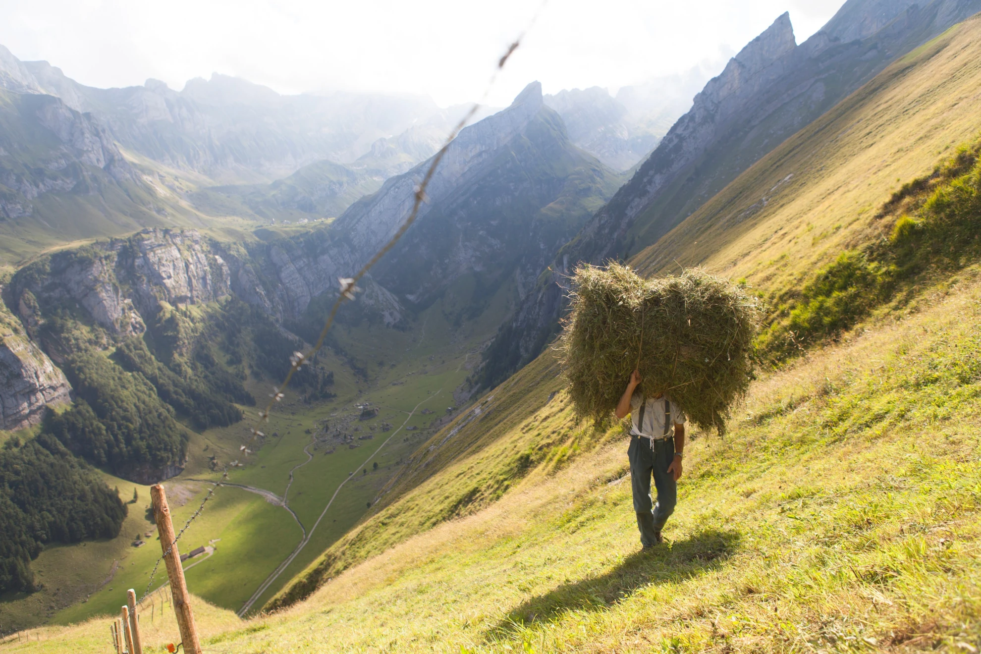 Alpzyt hero banner image placeholder